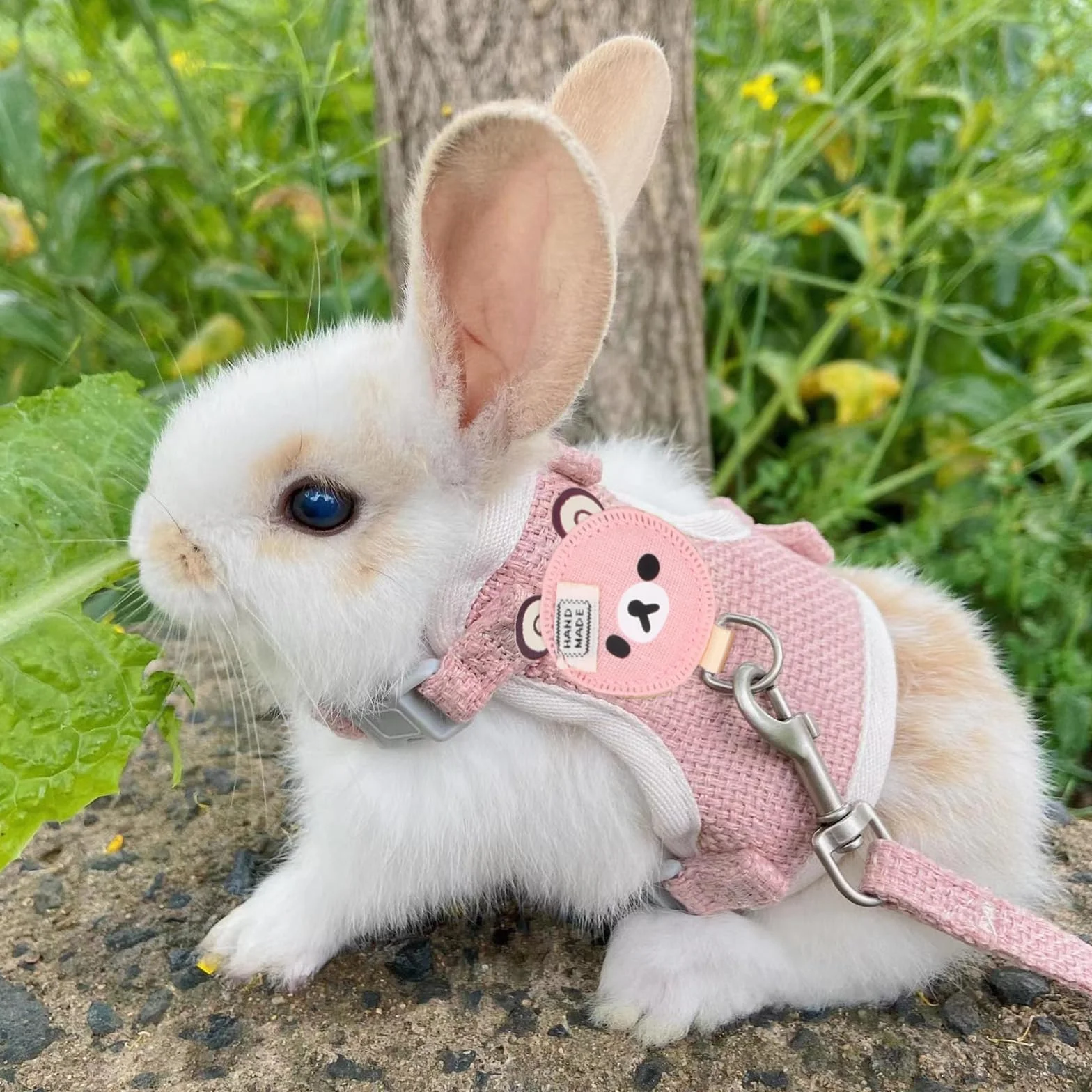 Harnais et Laisse pour Animaux de Compagnie 120 cm Réglable Rembourré Doux Gris Rose