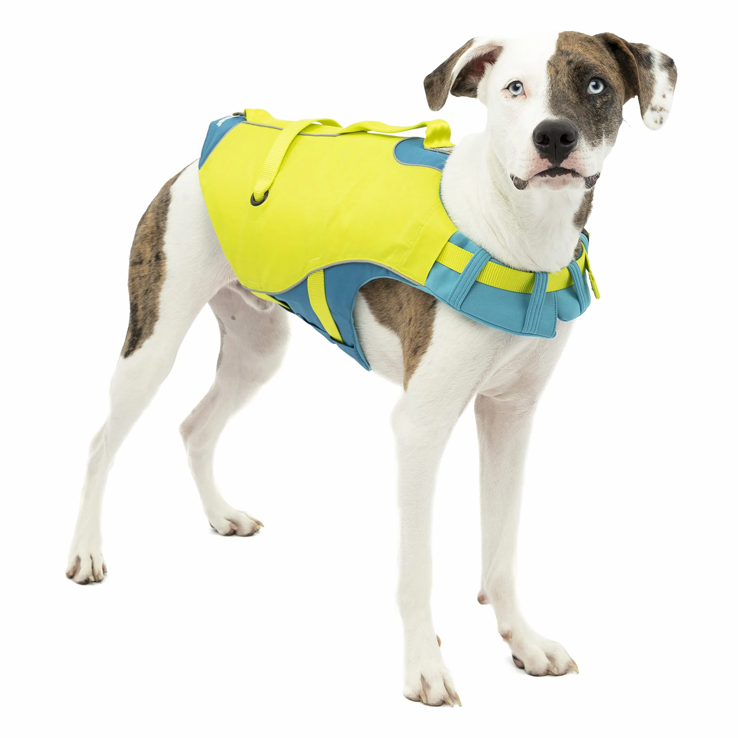 Kurgo Surf n' Turf Gilet de Sauvetage pour Chien, Gilet de Sauvetage pour la Natation et Le Bateau, Gilet de Sauvetage pour Chien avec poignée de Sauvetage et Accents réfléchissants, Lavable en