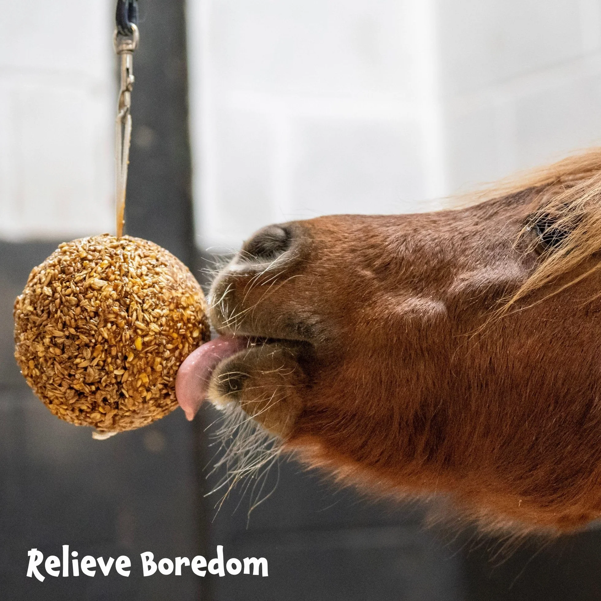 Likit Granola Stall-Ball Friandises pour cheval 1,6 kg pomme baies mélangées menthe poivrée mélasse anti-stress