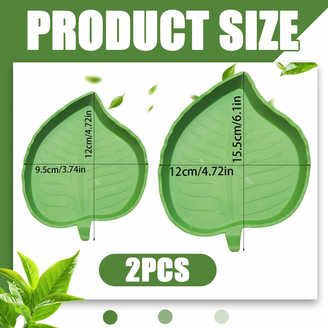 Terrarium Tortue Terrestre 2 Pièces Bols Eau Nourriture Reptiles Vert