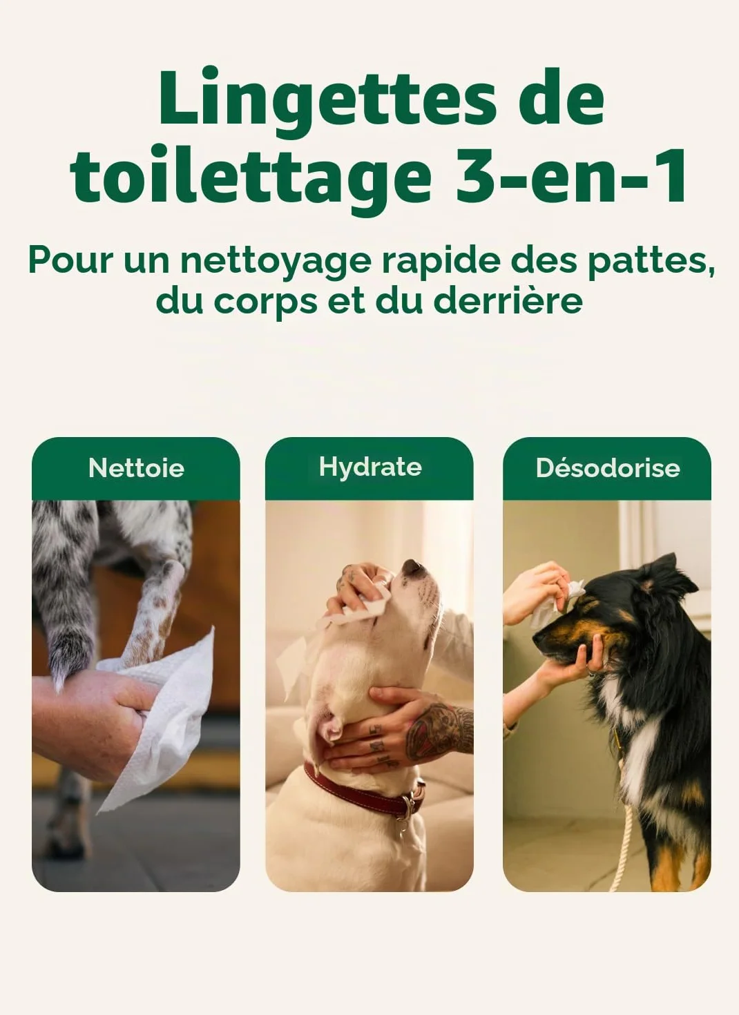 Earth Rated Lingettes hypoallergéniques pour Chiens, Lavande, 100 lingettes