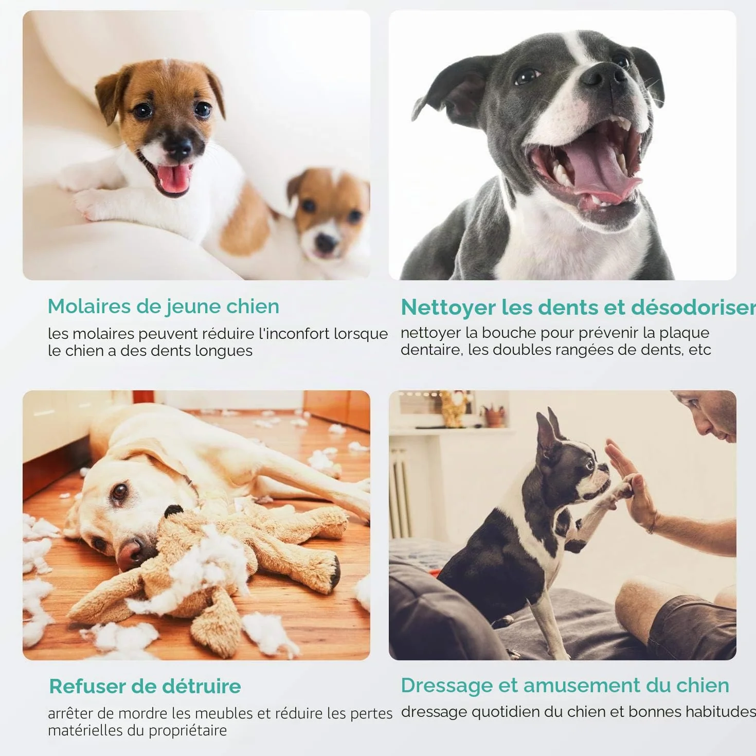 Os Pure Pressé pour Chien Nobleza 660g 10cm Pack de 18