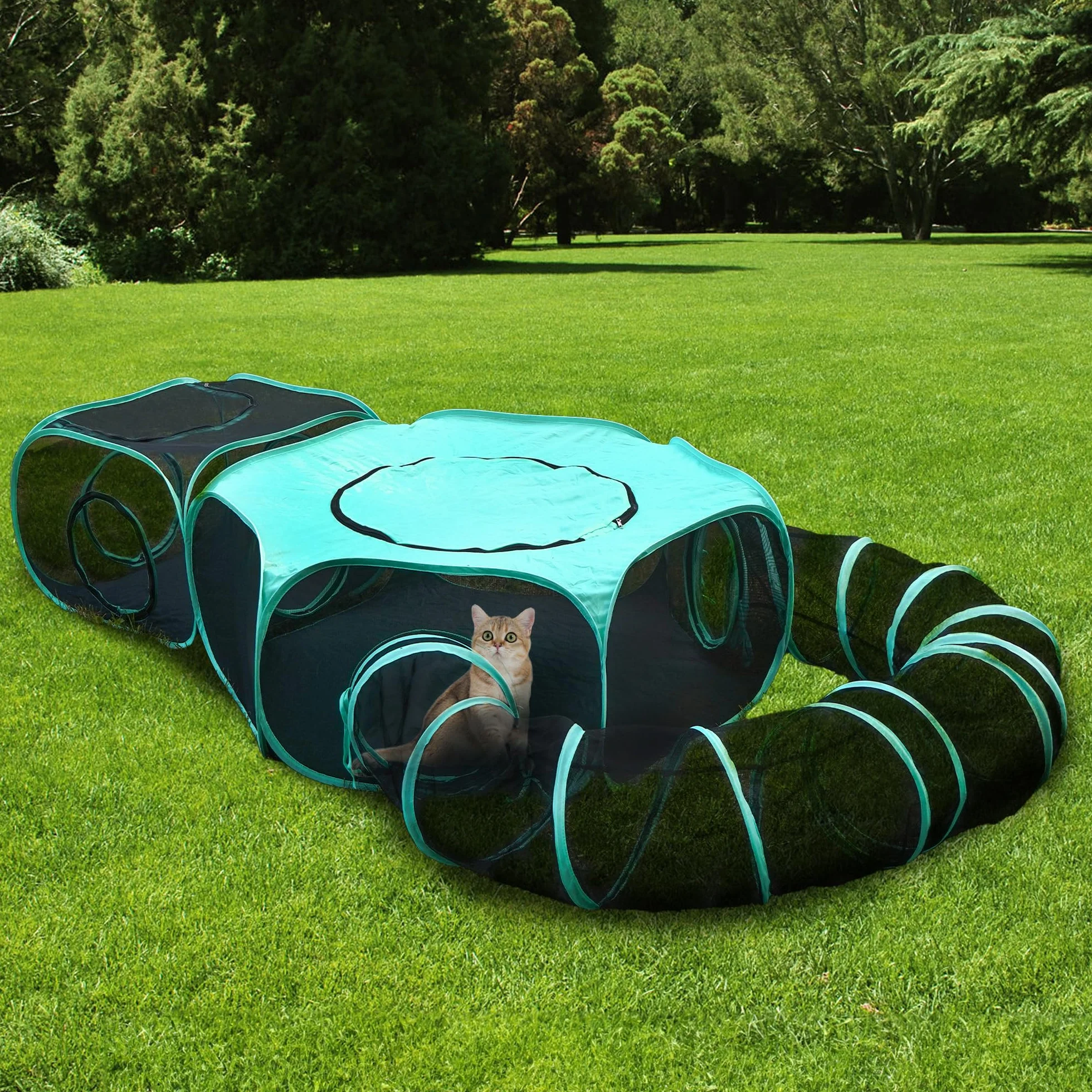 Grand enclos pour chat tente pop-up 3 en 1 modulaire avec fenêtres en réseau intérieur extérieur voyage