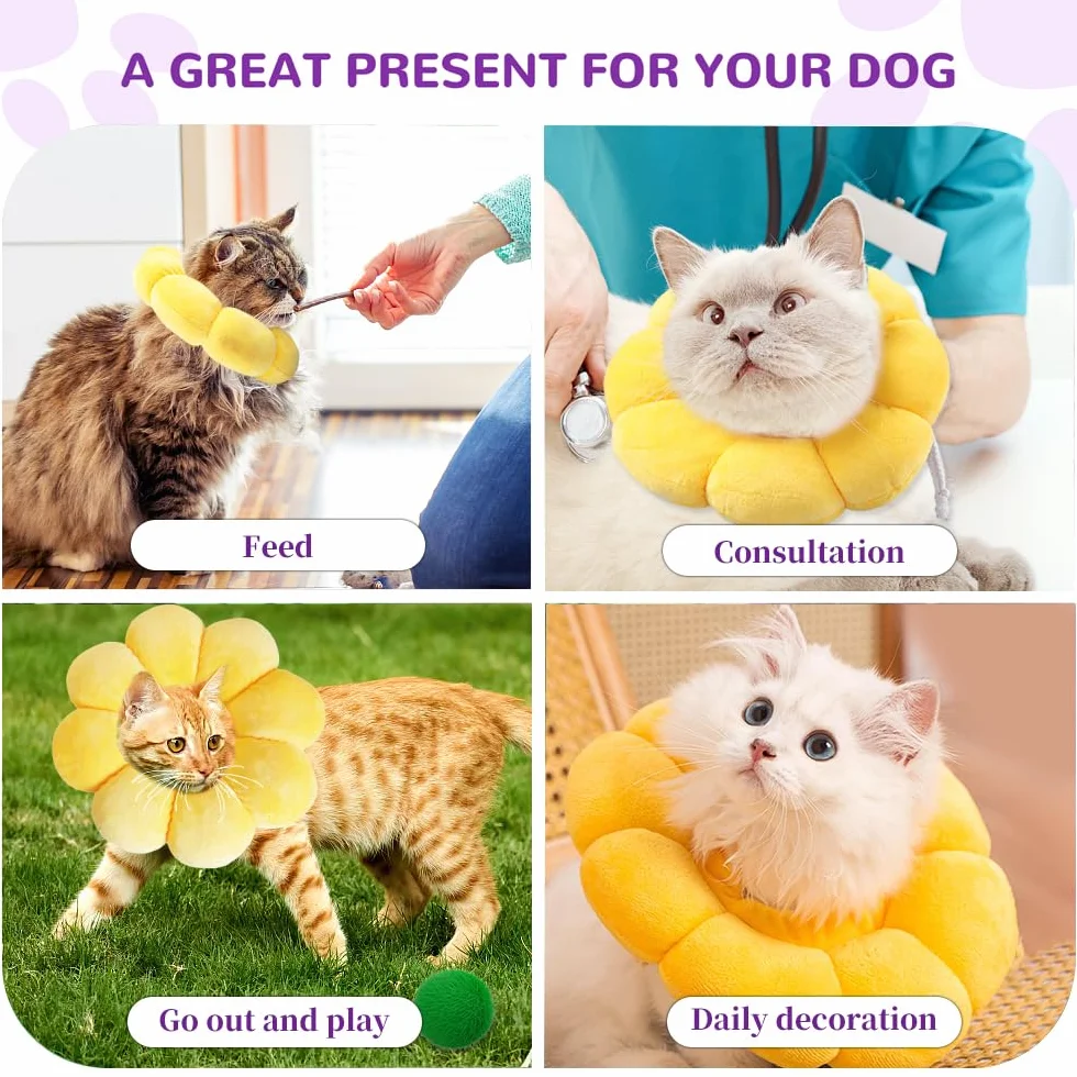 Collier de Protection pour Chat Anti-Léchage Réglable Doux 8-25 cm