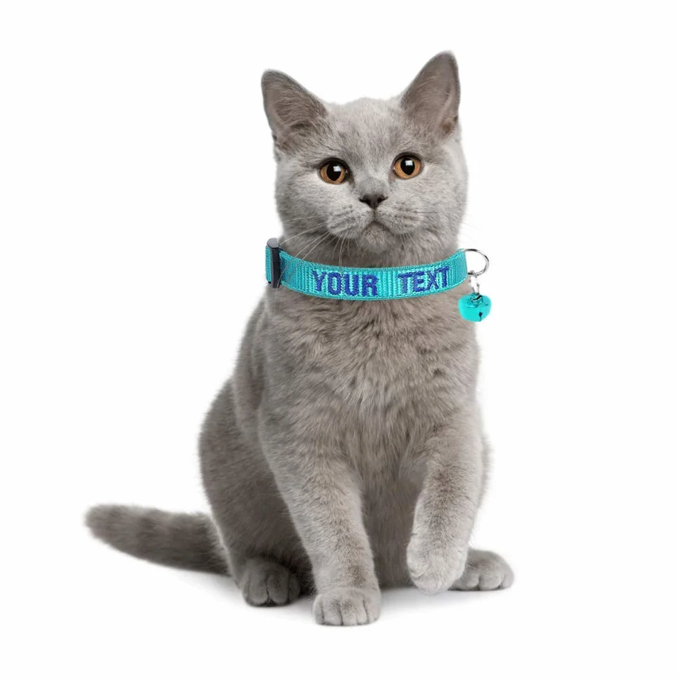 Collier personnalisé pour chat avec cloche et boucle de sécurité, nom brodé