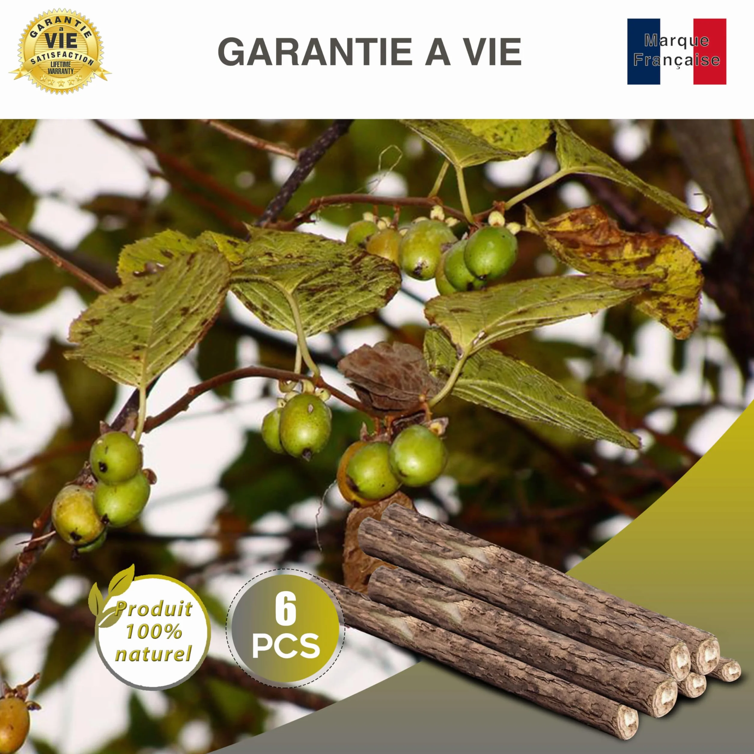 Marque Française Jouet pour Chat Catnip Bio Naturel Lot de 6