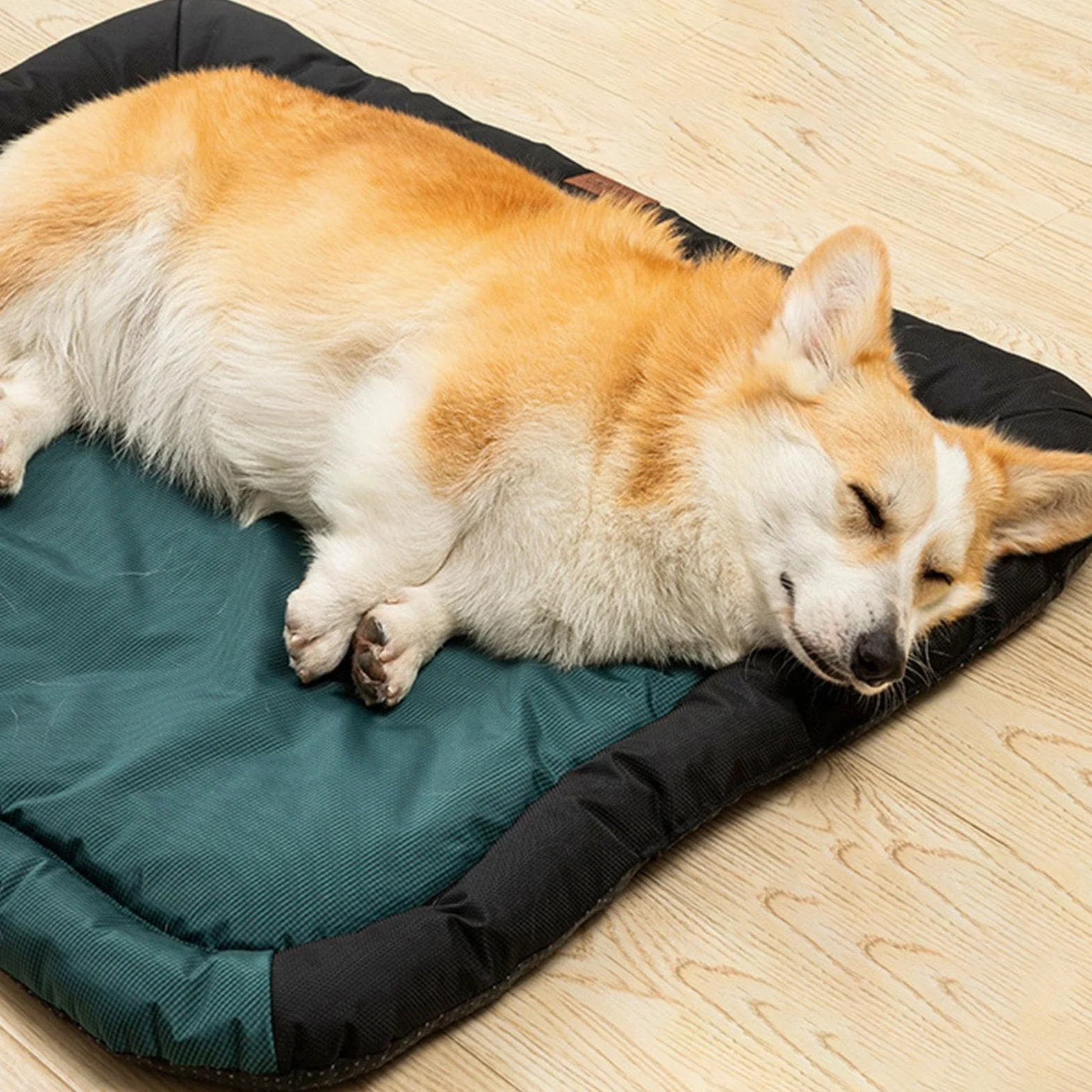 Tapis Pour Cage De Chien Coussin Chenil Chaud Doux Confortable Matelas | Coussin Canin Adapté Aux Chiens Et Chats De Taille Moyenne, Couchage Douillet En Cages Métalliques, Accesso