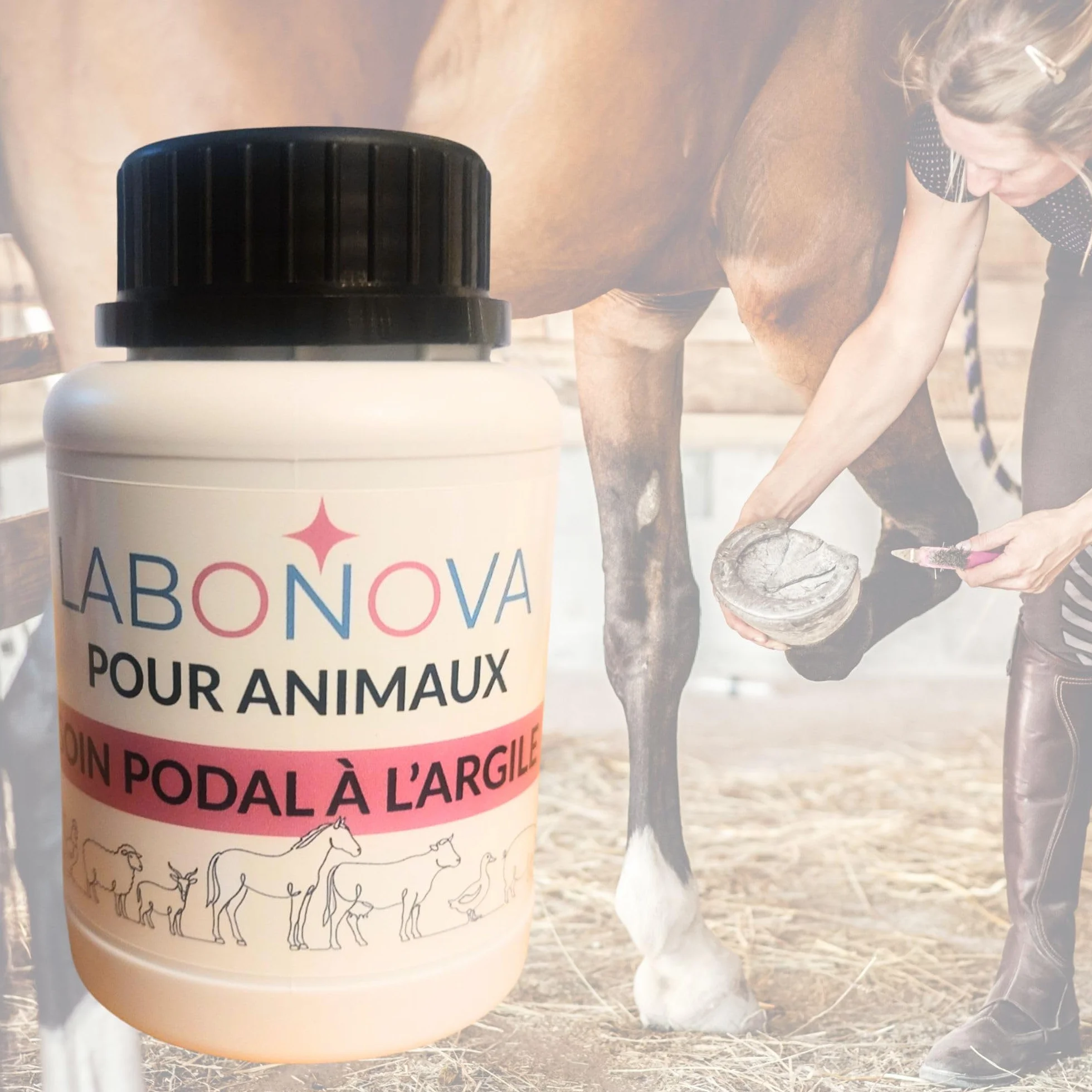 Soin podal à l'argile pour sabots 250 mL - Pour animaux cheval vache mouton