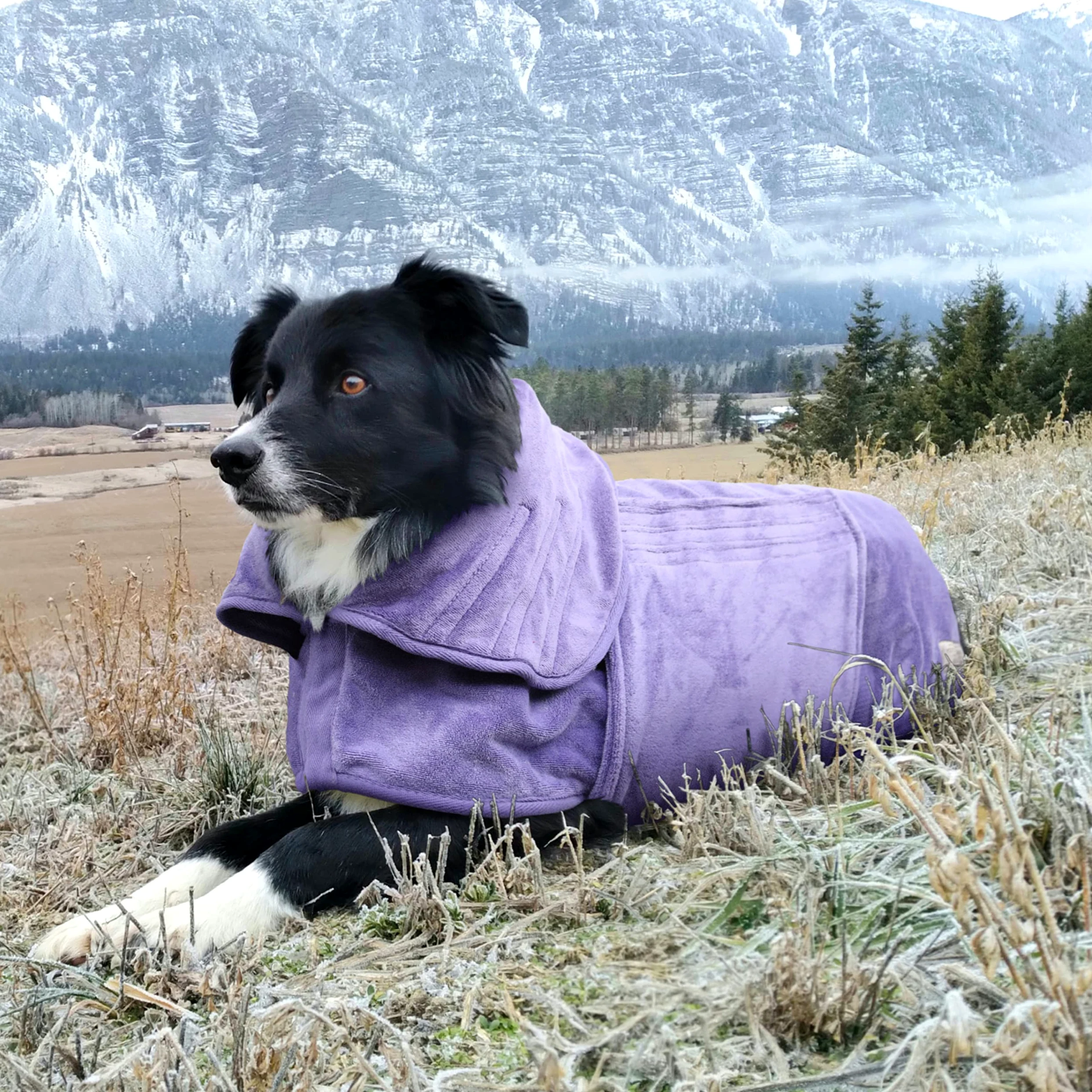 Manteau de séchage pour chien - Serviette de séchage rapide double couche en microfibre pour chien - Col et taille réglables (XL, chiné)