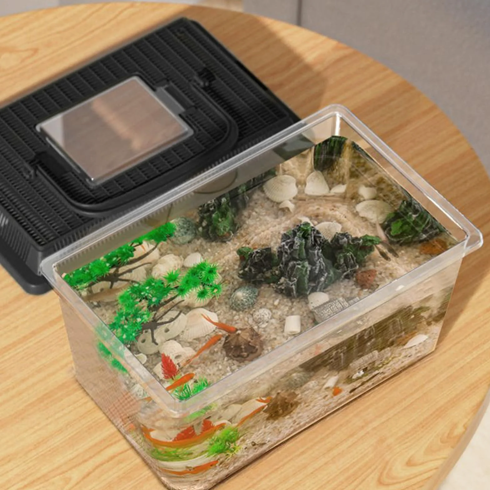 Cage Pour Reptiles – Boîte D'habitat Portable 9,06 Pouces Transporteur Transparent Animaux De Compagnie Récipient D'alimentation 400 G Plastique PET Léger