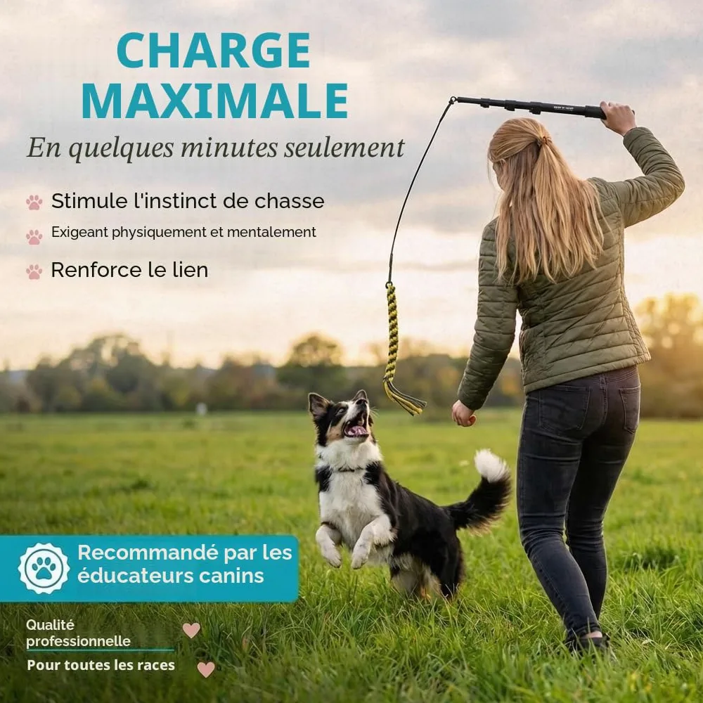 HUND IST KÖNIG Canne à pêche Professionnelle pour Chien - Idéale pour Le Dressage de Votre Chien - Jouet pour Chien - pour l'entraînement en extérieur - avec Corde de Rechange et Corde
