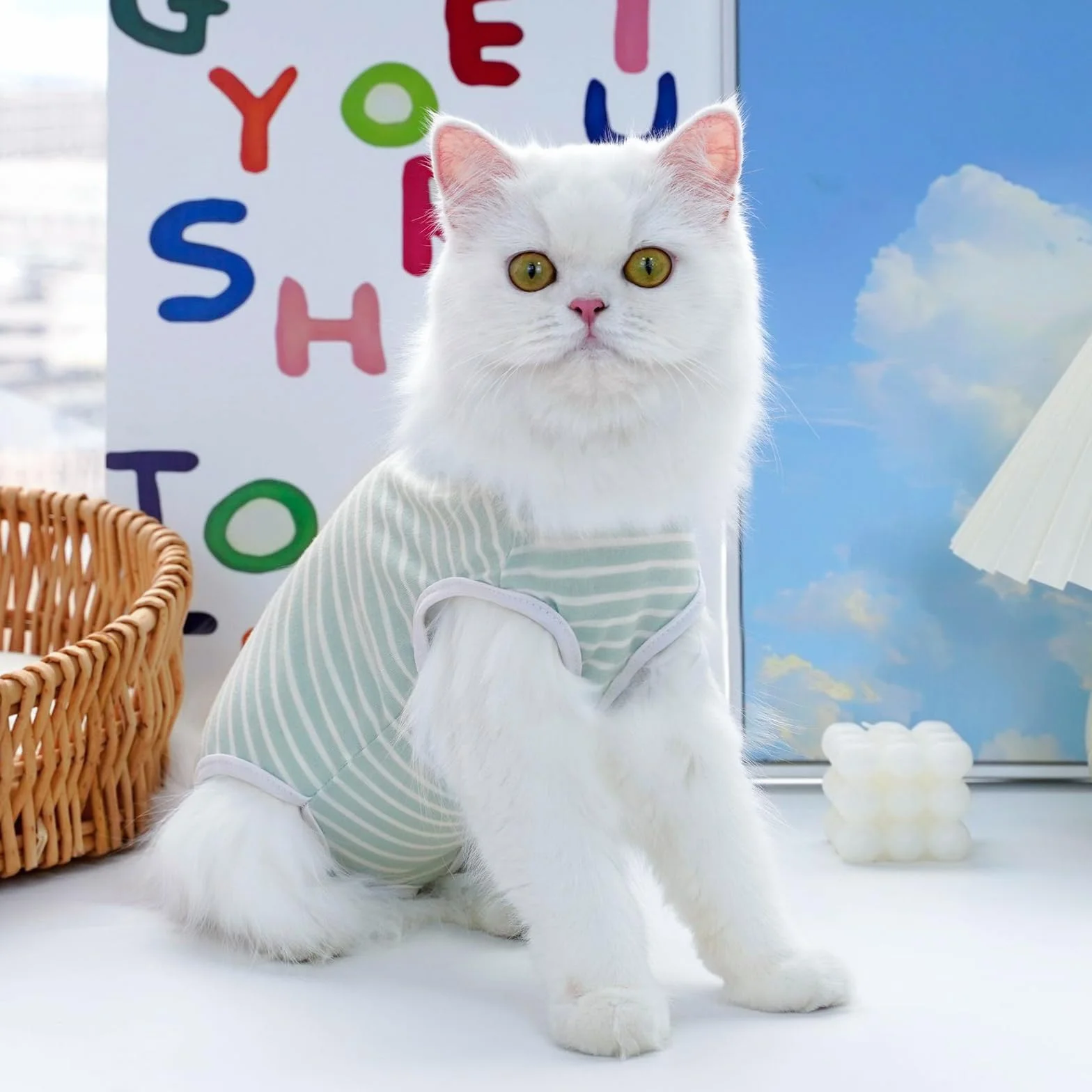 Combinaison de Récupération pour Chat Après Chirurgie, Vêtement Postopératoire, Alternative au Collier Élisabéthain, Bodysuit Anti-Léchage (Vert, S)