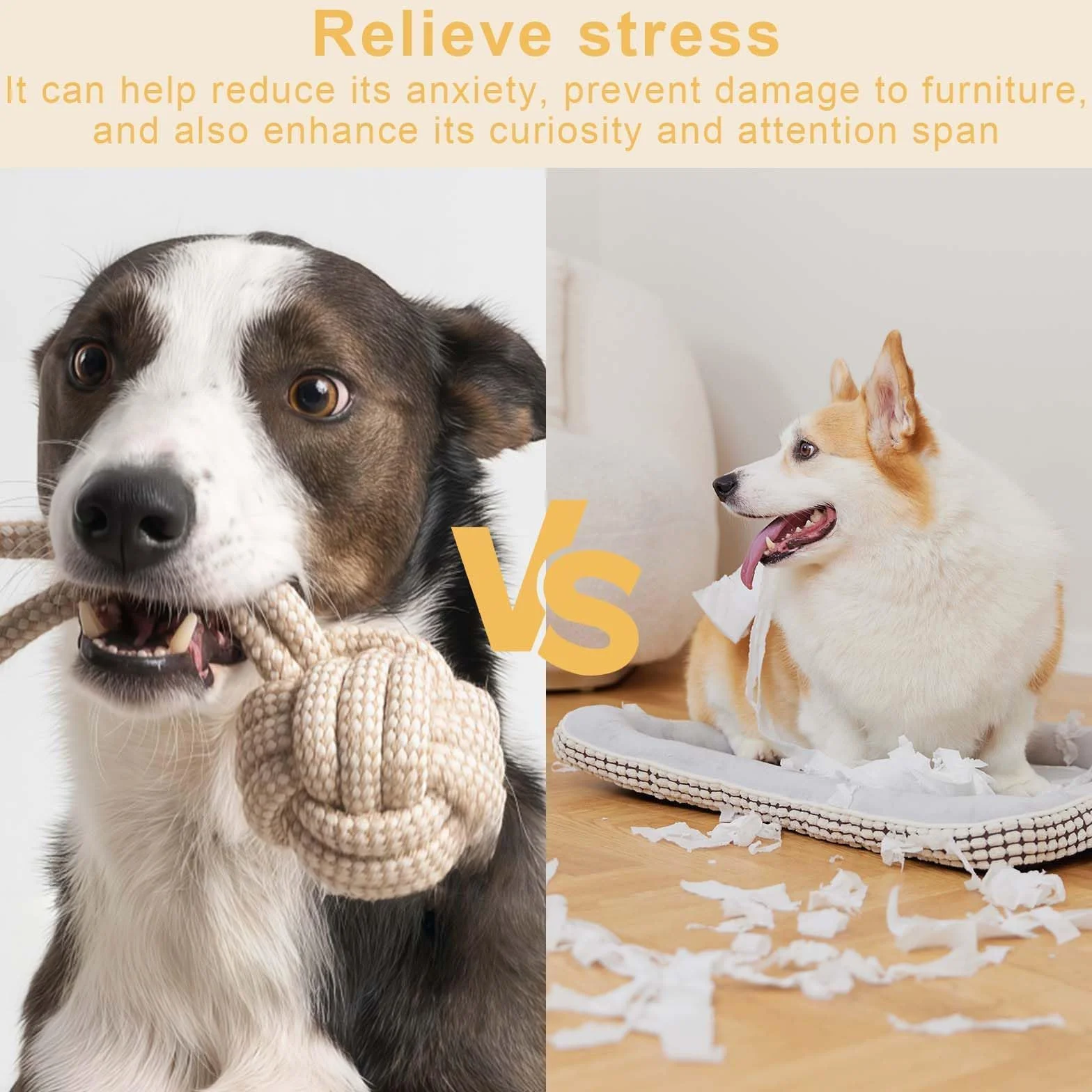 Jouet à mâcher en corde de coton pour chien, 6 pièces, interactif pour petits chiens