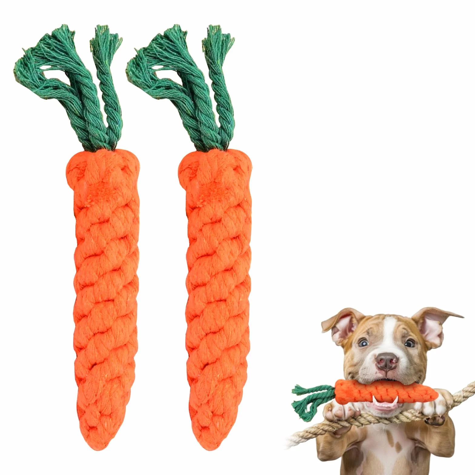 Jouets à Mâcher pour Chien Carotte, Corde Tressée en Coton Durable pour Petite et Moyenne