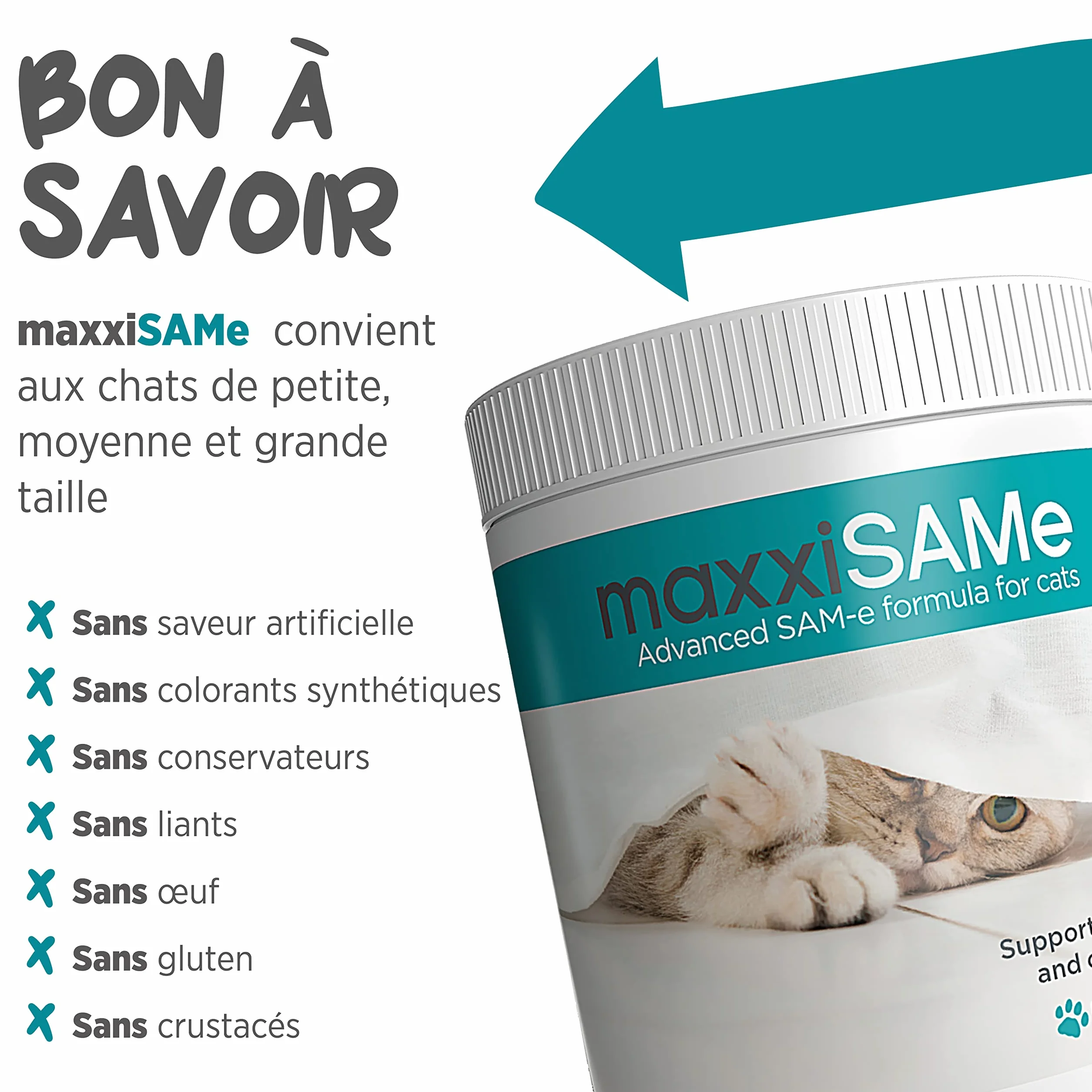 maxxiSAMe pour le Soutien du Foie félin et Dysfonctionnement cognitif Chats âgés – Sam-e Supplément Chats – Poudre 90 g