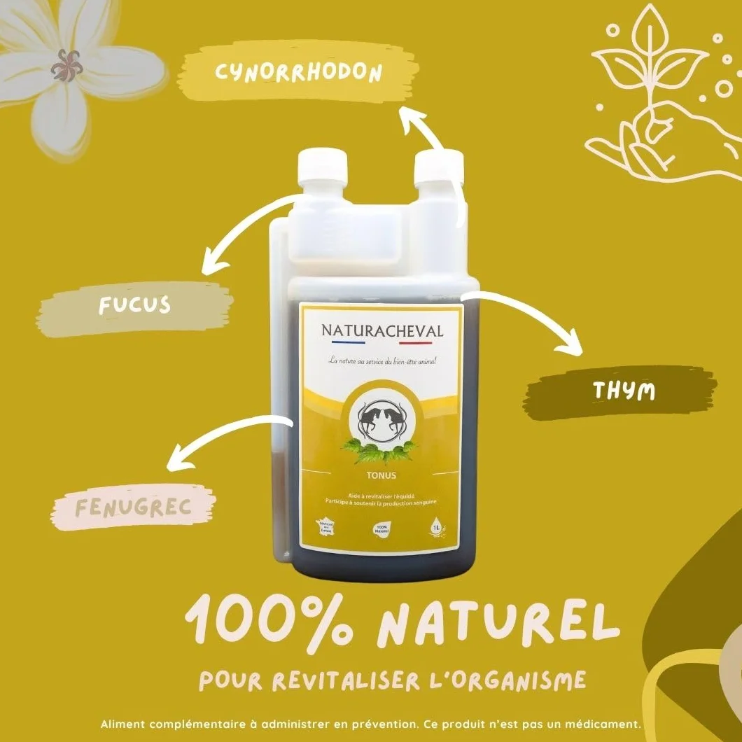 Vitalité Cheval & Tonus Complément Naturel Énergie Cheval Fatigue Convalescence Apport Vitamines Minéraux Formule Plantes