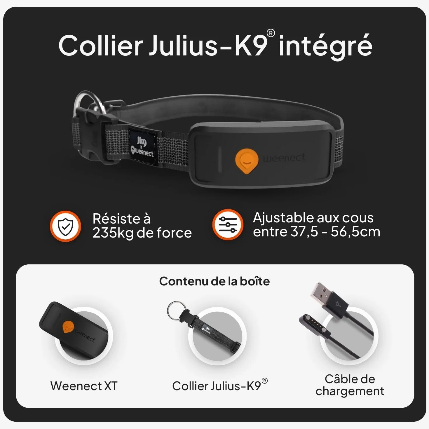 Weenect Chien XT GPS Collier Chien Antenne XL Etanche Julius-K9 Noir