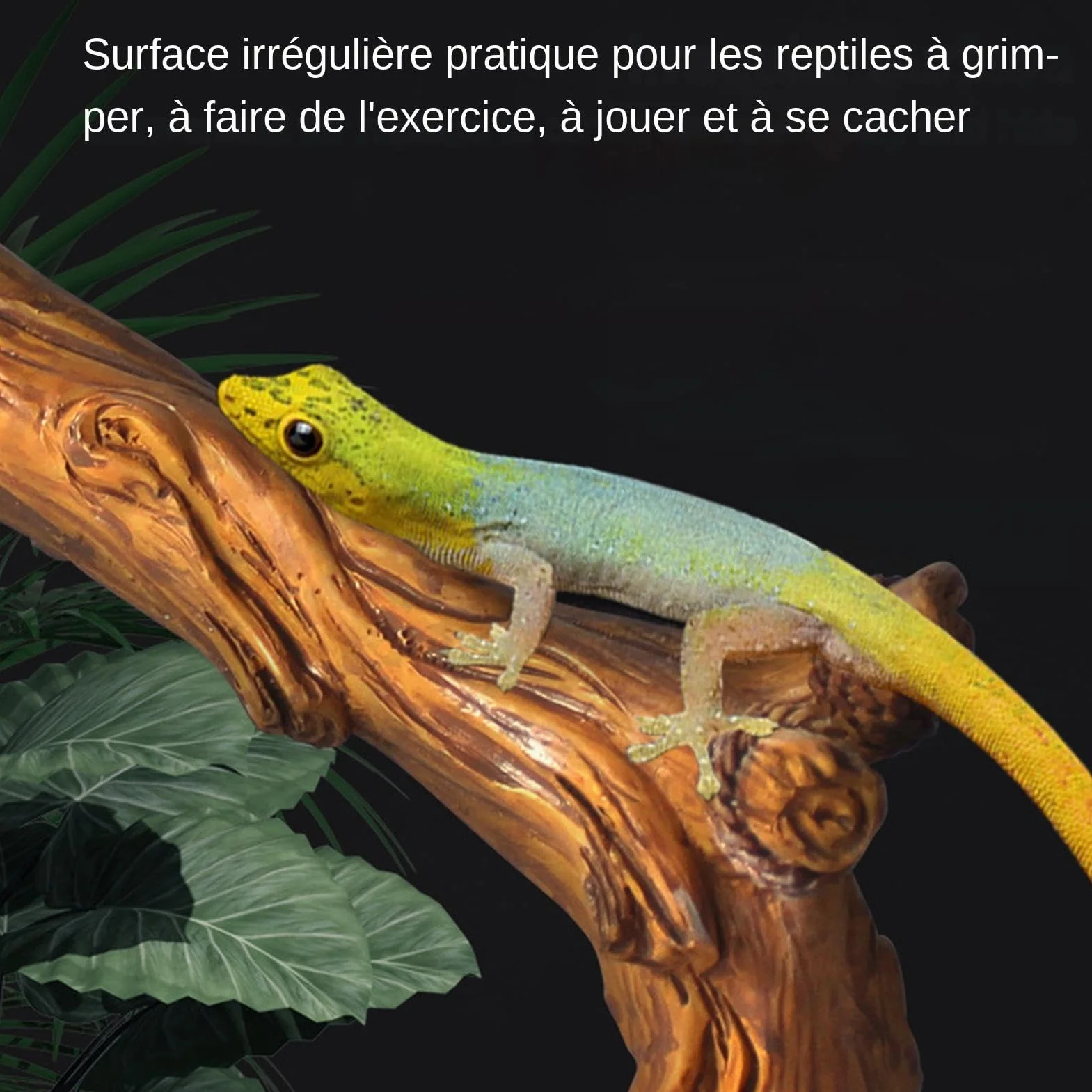 Branches de Bois Épaisses pour Reptile – Décorations d'Habitat de Serpent, Branches Grimpantes de Terrarium en Bois, Ornement de Tronc d'Arbre