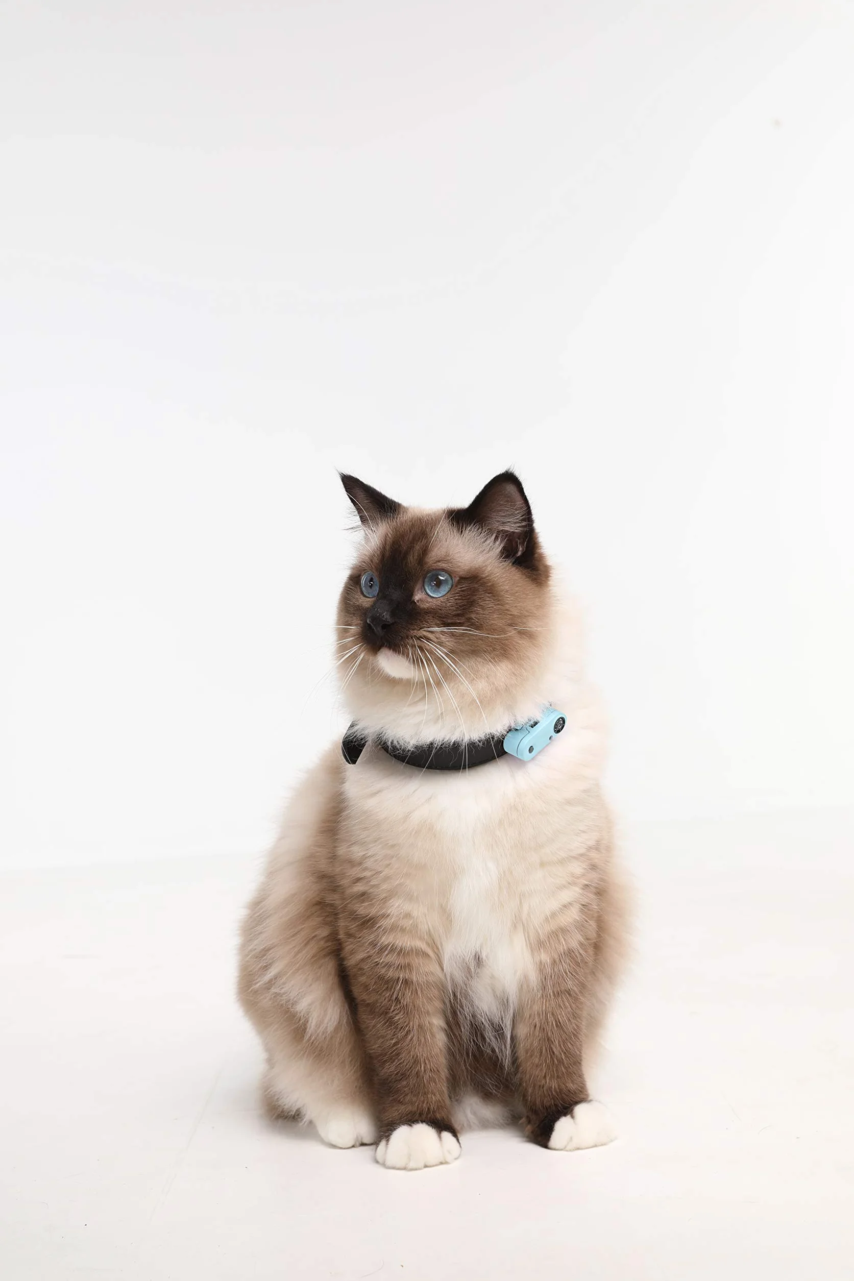 Tickless Mini Cat Répulsif Ultrason Anti-tiques Puces Rechargeable Bleu