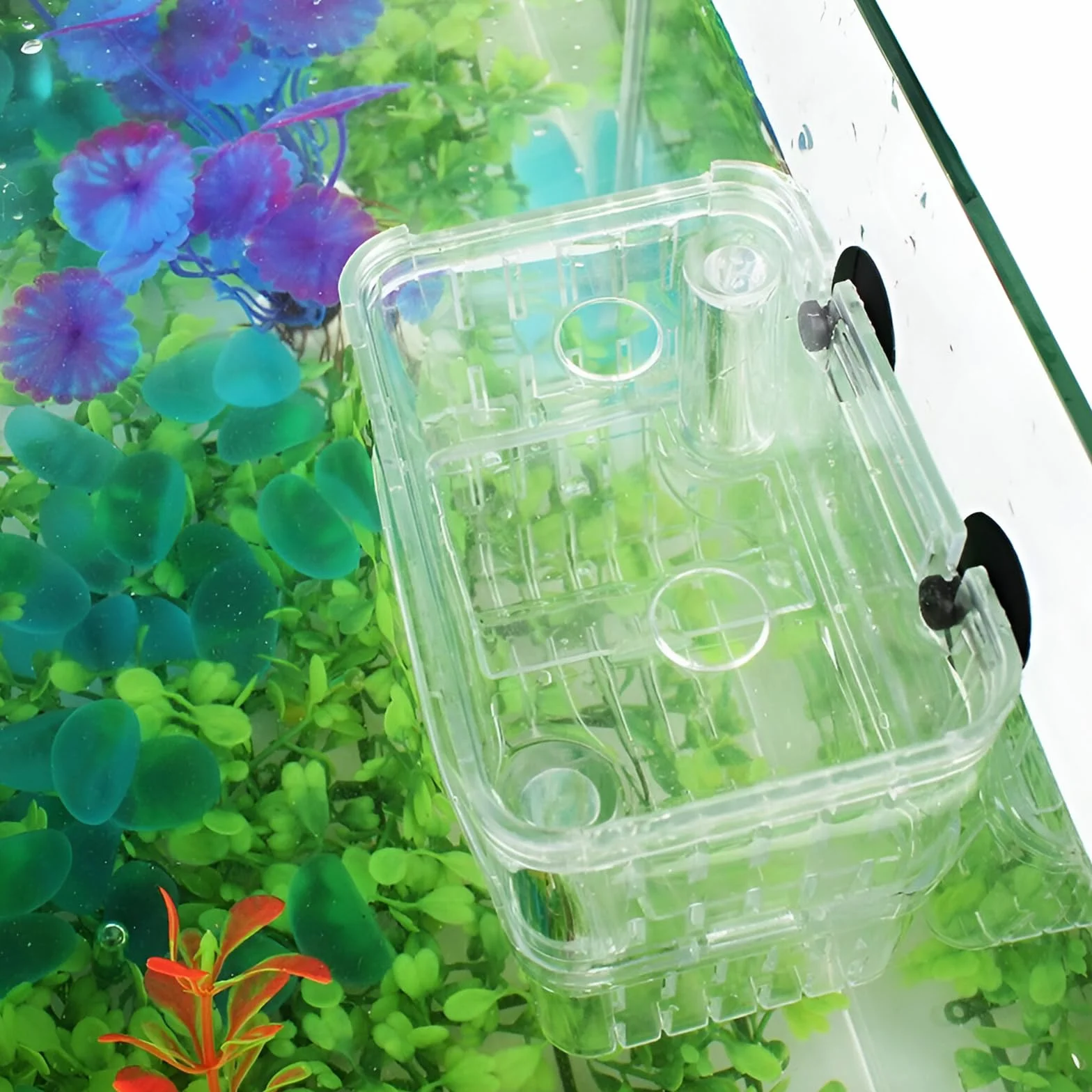 Guador Boîte d'Élevage Aquarium Isolation Incubateur Écloserie Piège Double Guppy Flottant XL