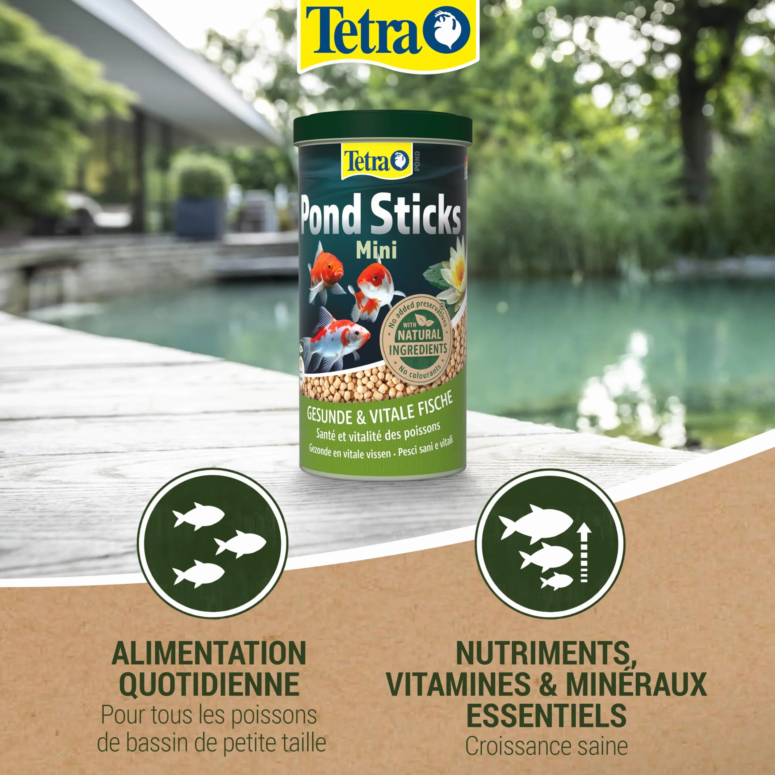 Tetra Pond Sticks Mini 1 L – Alimentation Quotidienne pour Poissons de Bassin
