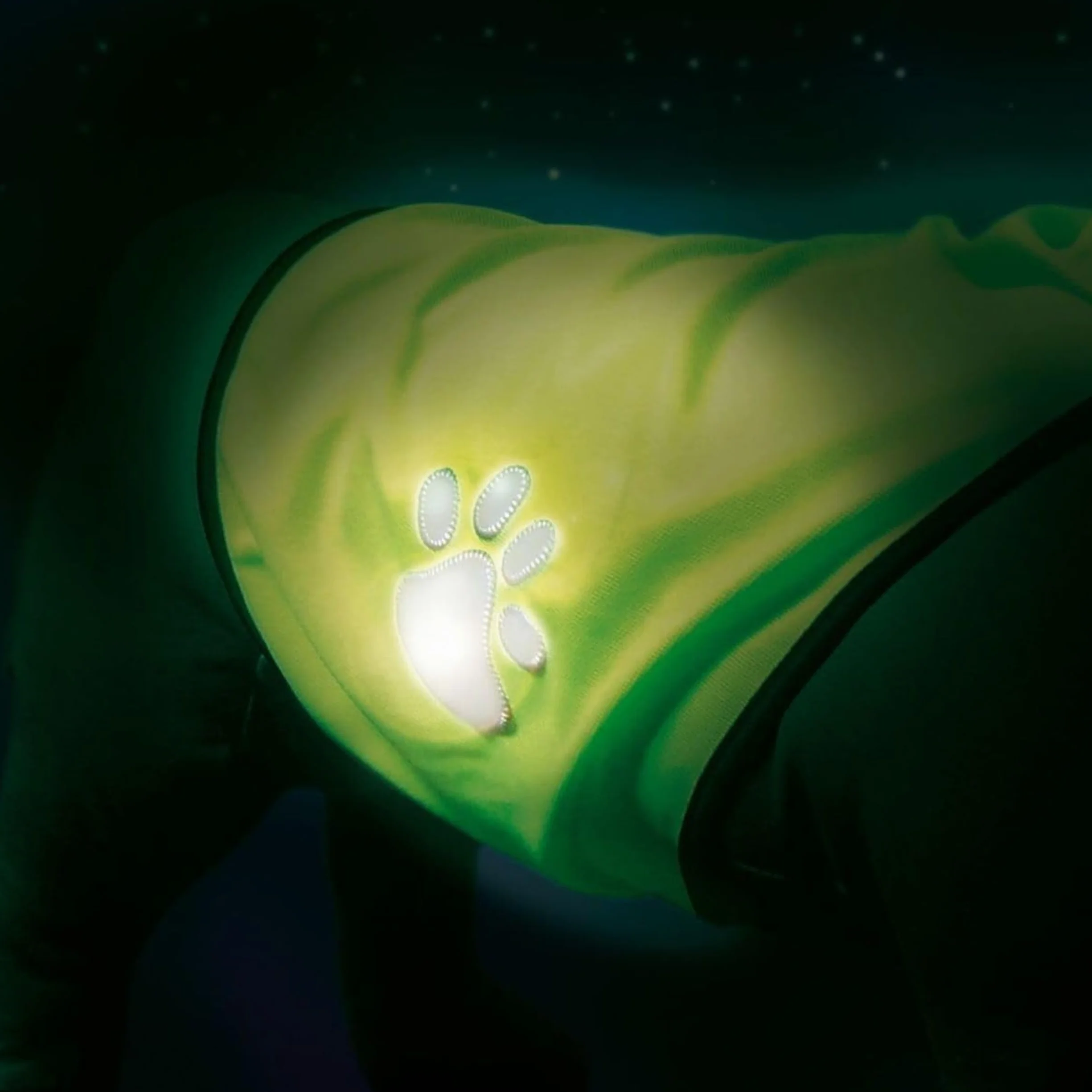Gilet de sécurité pour Chien XS Haute visibilité Jaune Fluo Réfléchissant Léger Ajustable