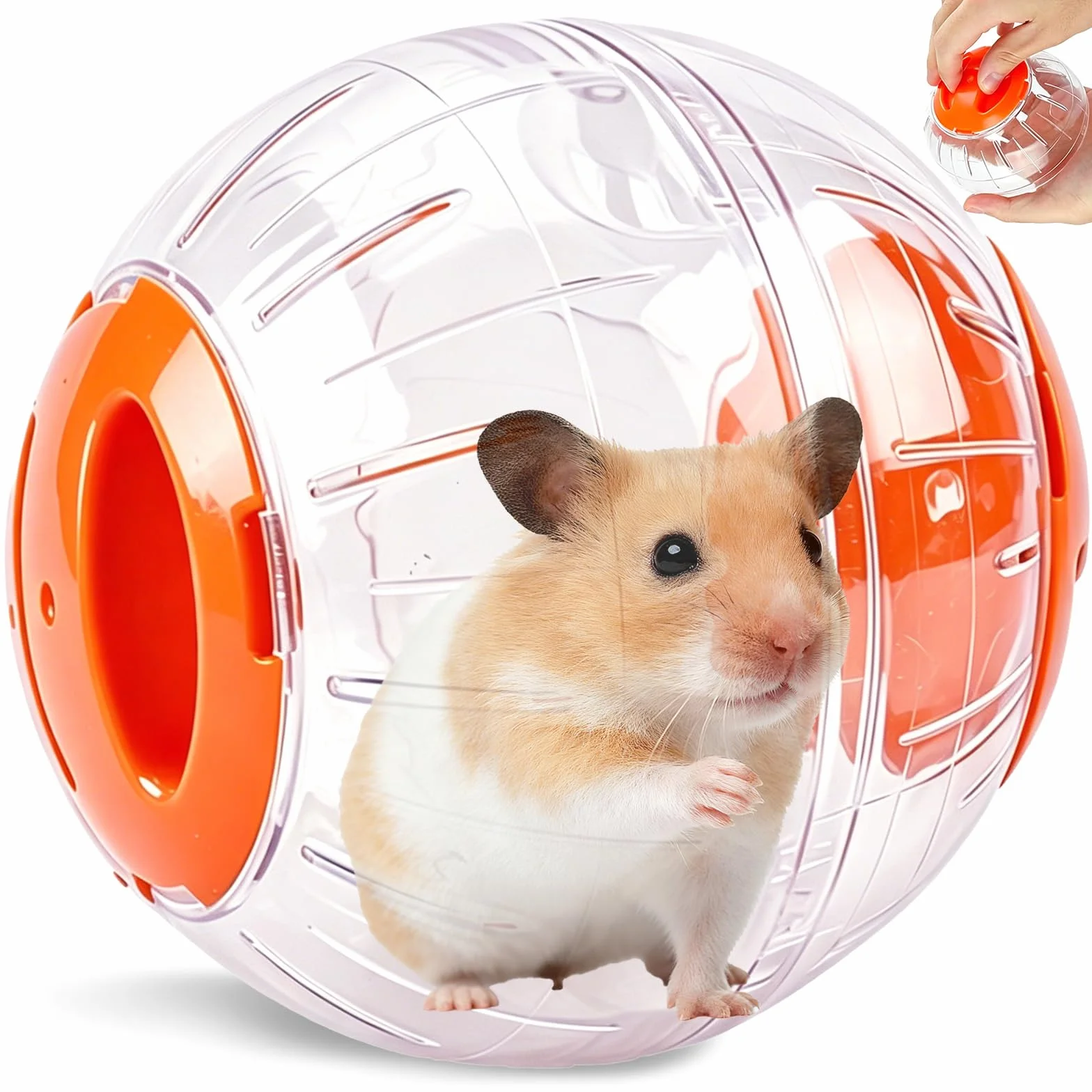 Balle d'exercice Hamster 12 cm Transparent Jouet Interactif Orange