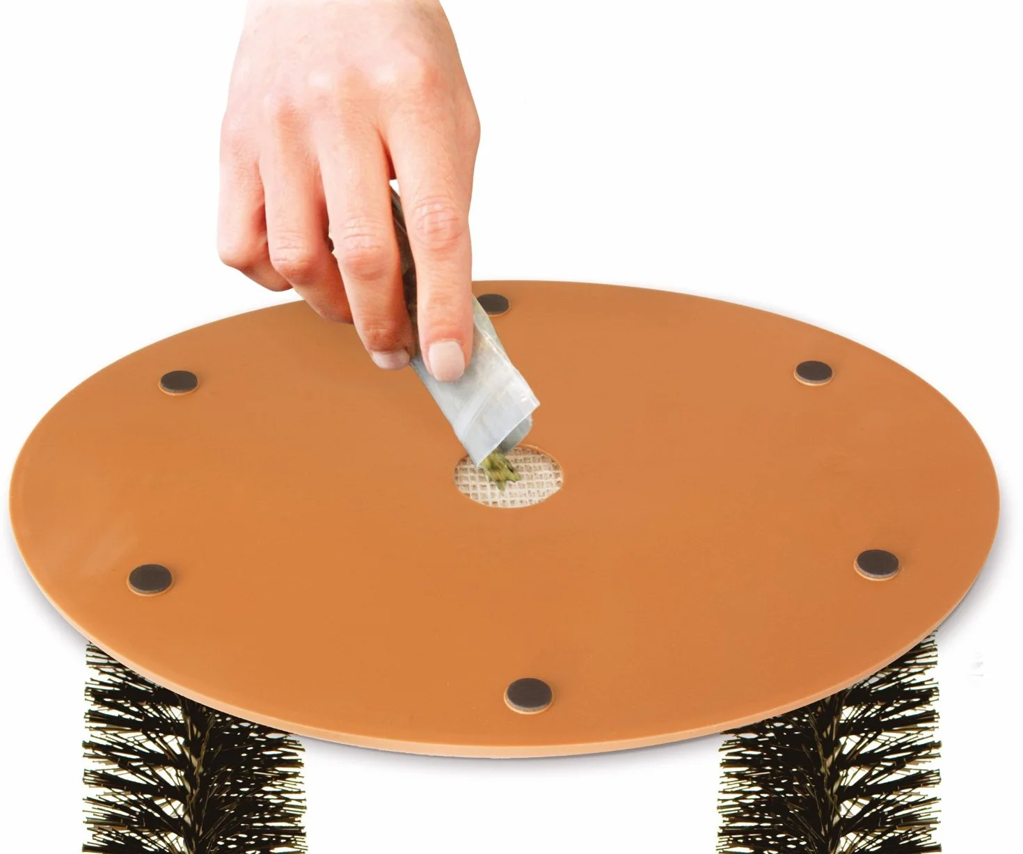 ARCHE DE GRATTAGE GRANDE TAILLE POUR CHAT INTERHOME