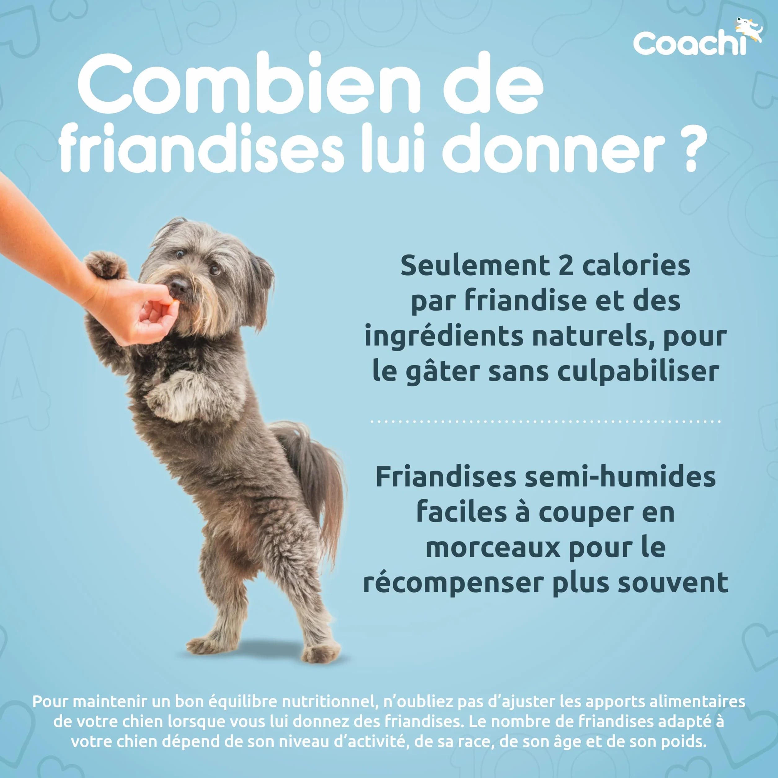 Coachi Friandises Naturelles pour Chiots sans Céréales Hypoallergéniques Moelleuses Poulet 100g