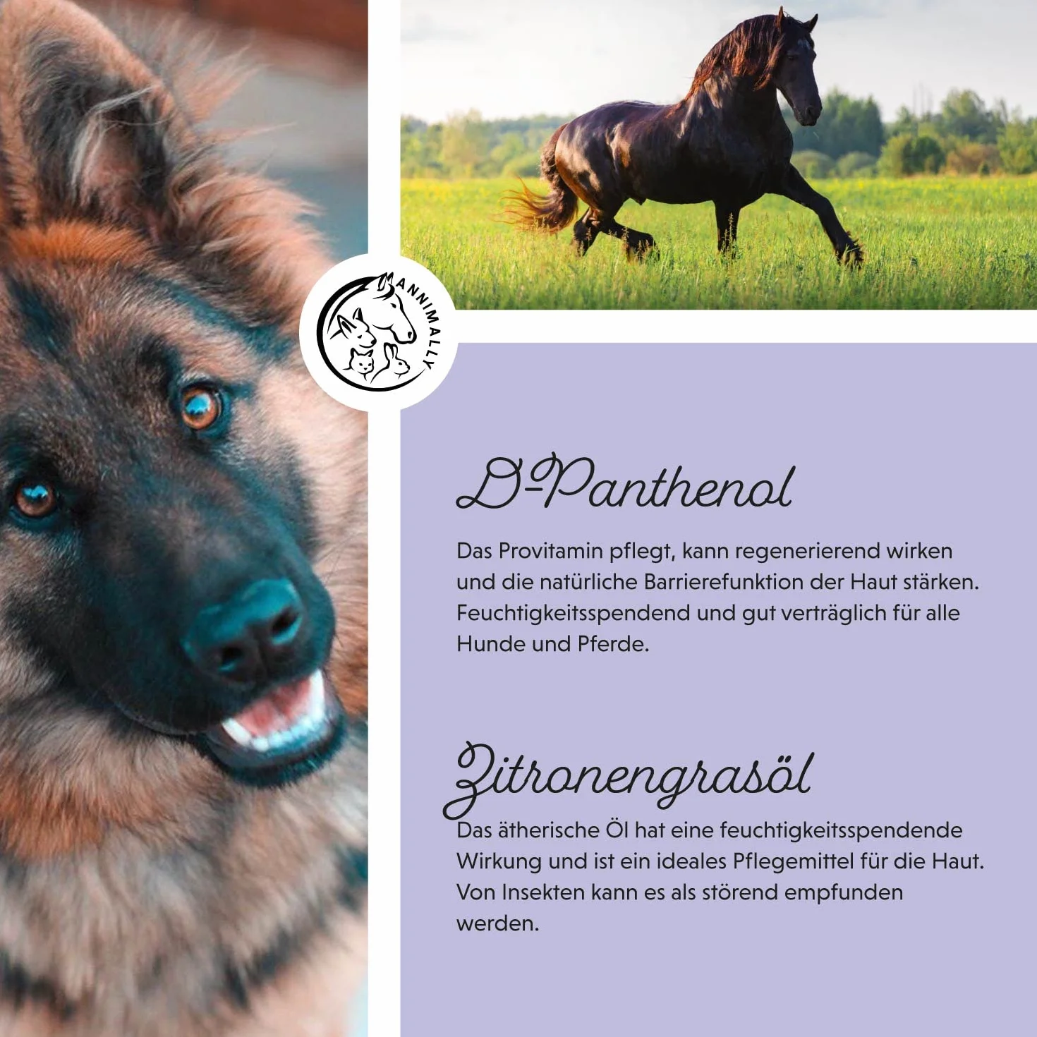Spray pour crinière et queue démêlant pour chevaux 500ml - Démêlant pour chiens, brossage facilité, pelage soyeux