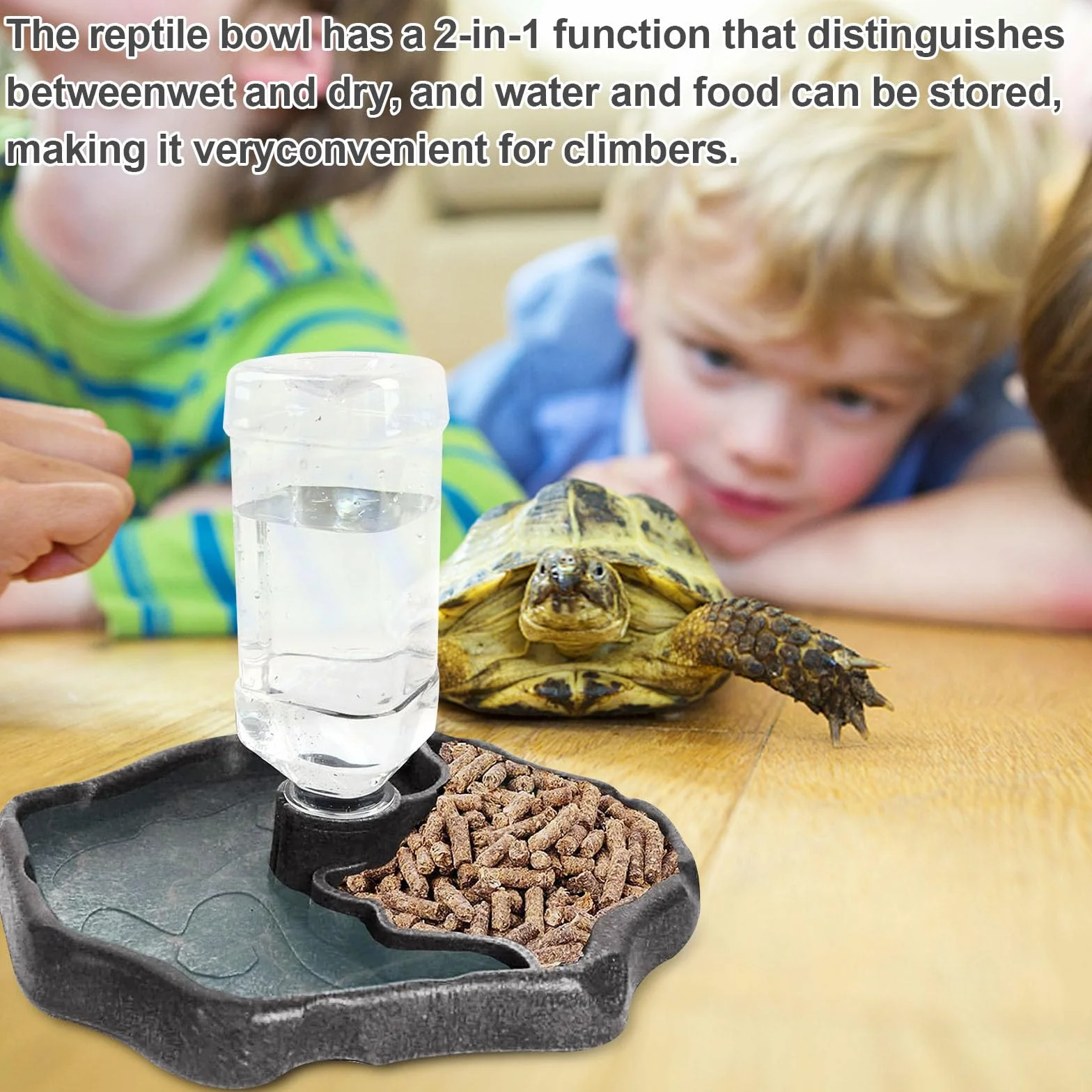 Funmo Distributeur d'eau pour Reptile 2 en 1 Anti Débordement Plastique Brun