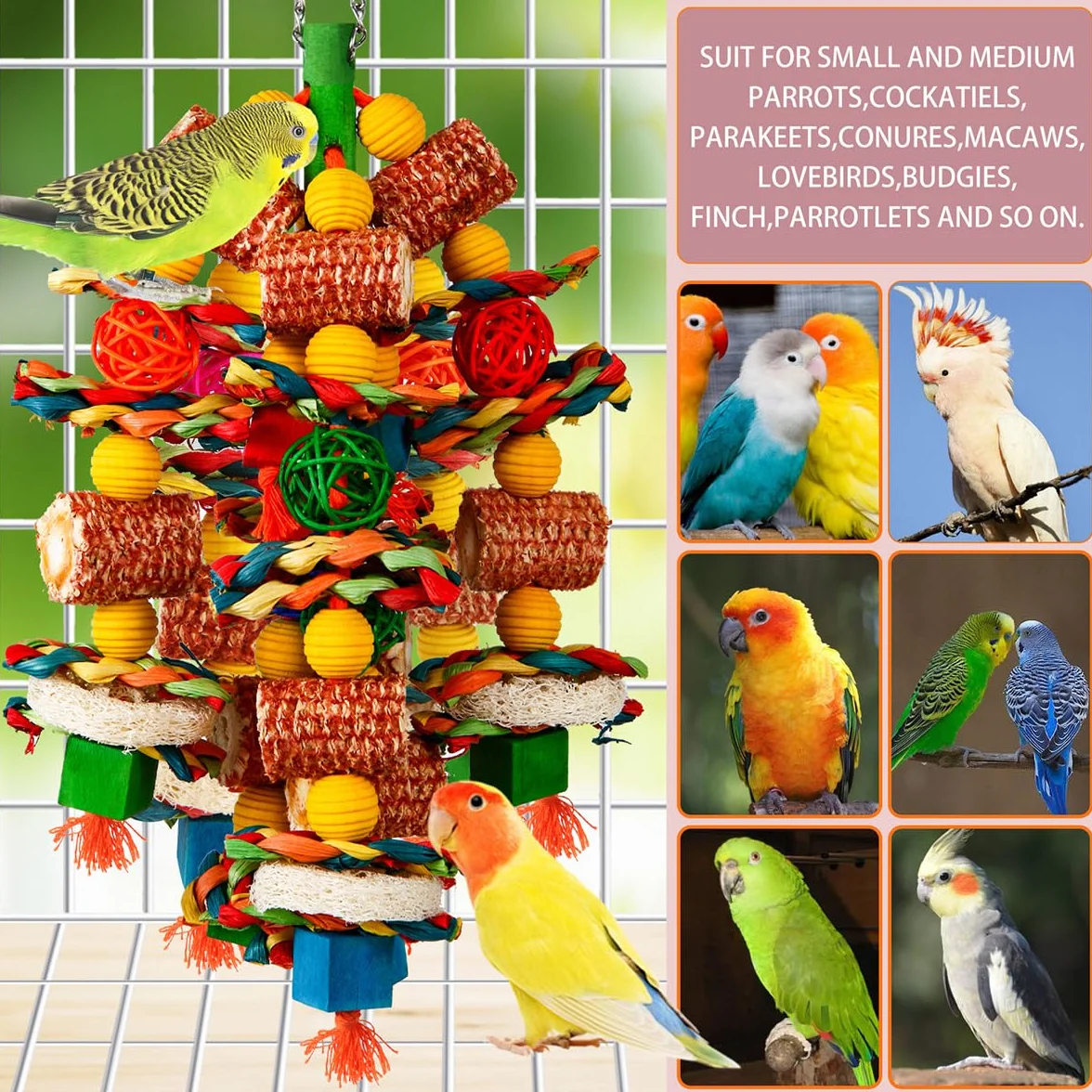 Jouets pour oiseaux, épi de maïs naturel et luffa, jouets à mâcher pour perroquets gris africains, aras, cacatoès