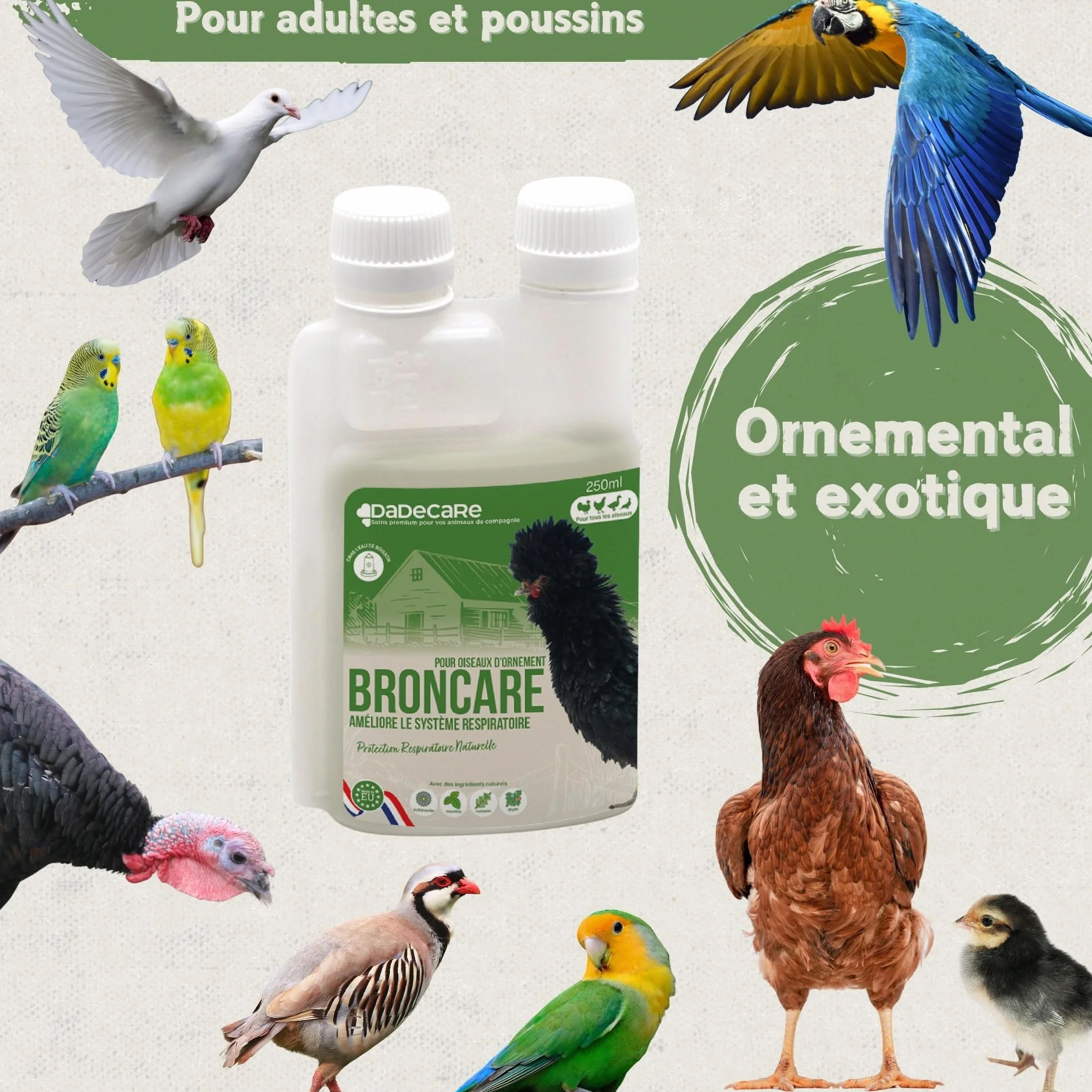 Broncare Respiratoire 250 ml ADEC - Huiles Essentielles Poules Volailles Oiseaux Exotiques