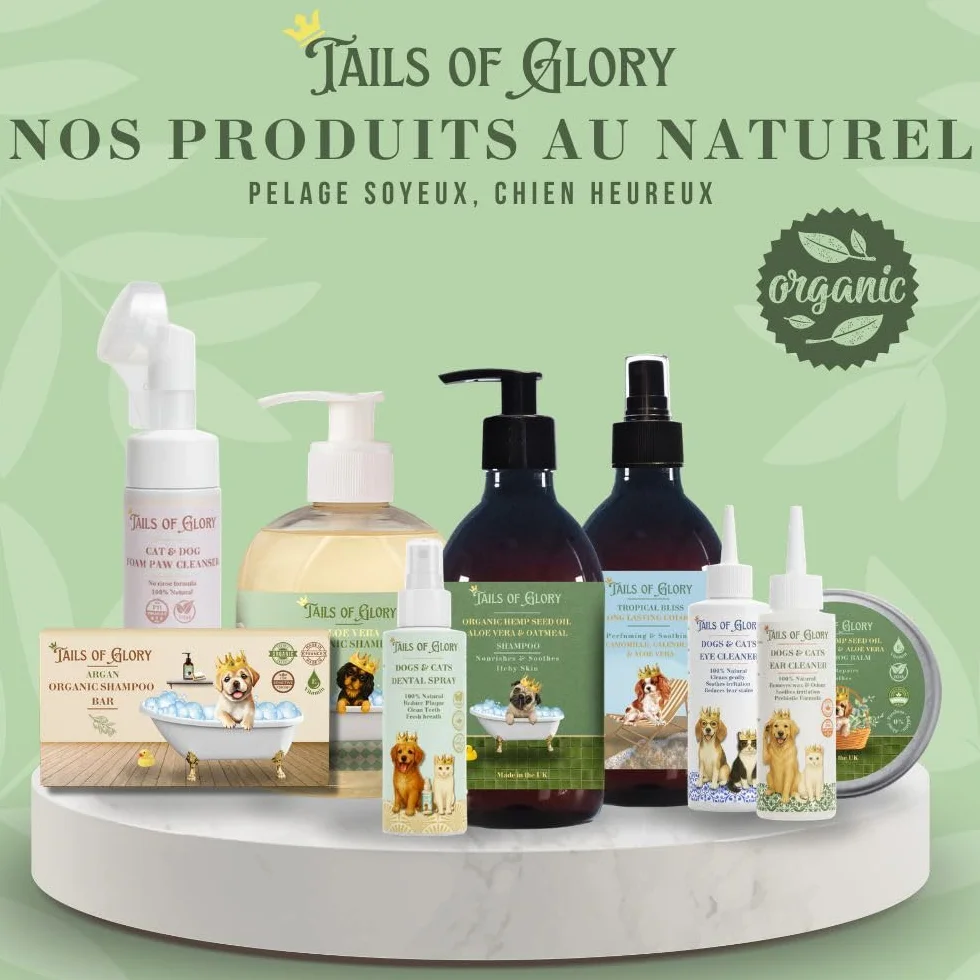 Spray Dentaire Chien & Chat 100ml – Haleine Fraîche, Anti Plaque, Anti Tarte – Formule Prébiotique Naturelle