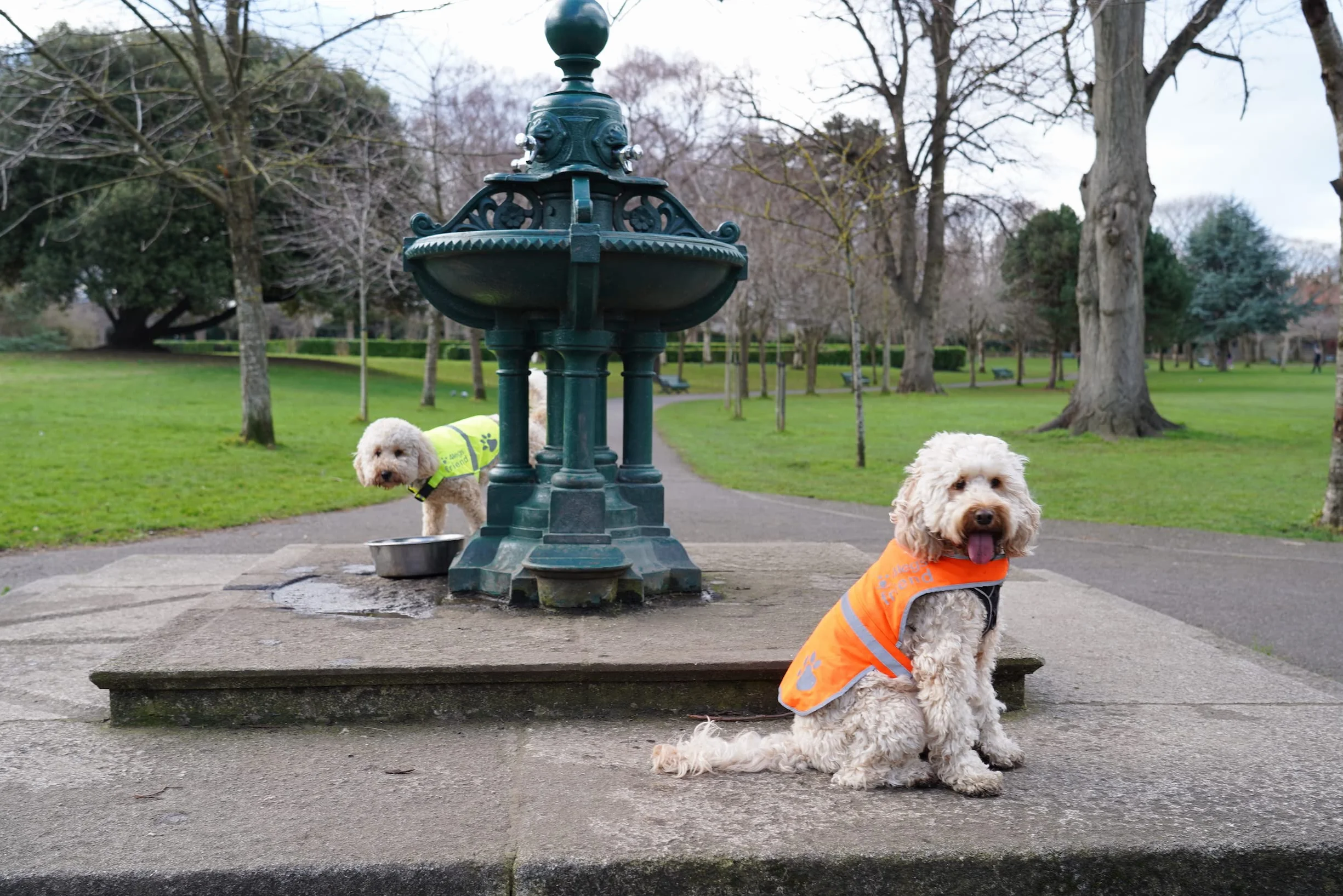 Gilet de Sécurité Jaune Fluo pour Chien Veste Doublée Laine Polaire Anti-Pluie Réfléchissant 5 Tailles