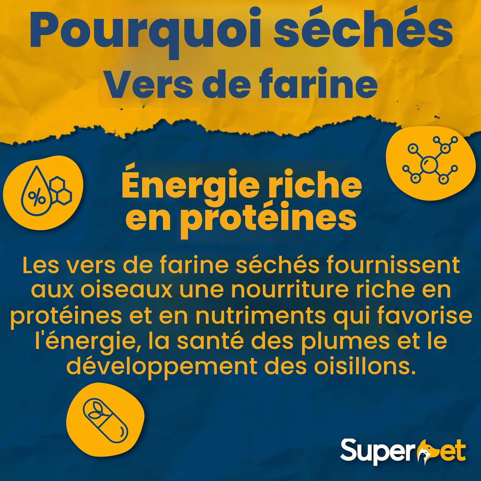 Vers de farine séchés 5 kg pour oiseaux sauvages