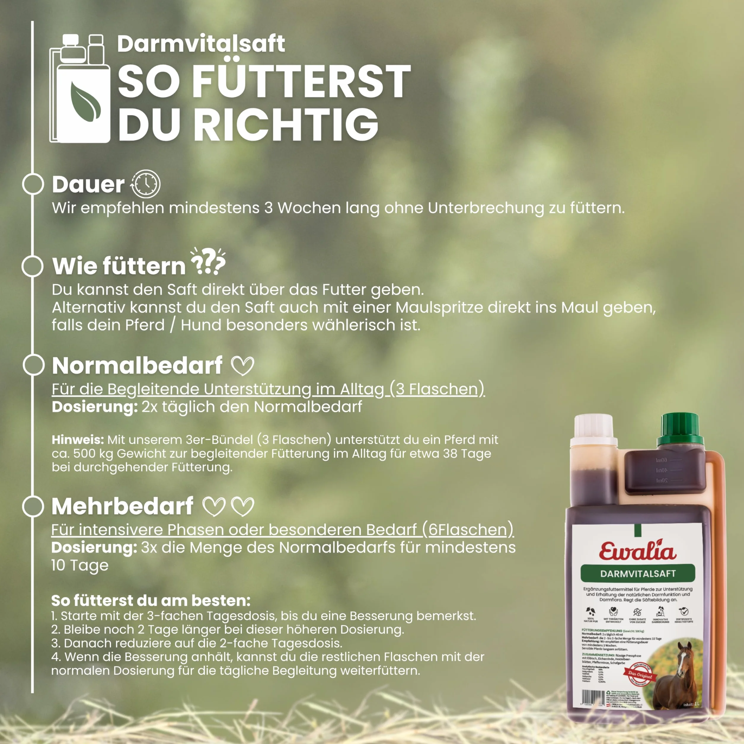 Ewalia Jus vital intestinal pour chevaux 1 l