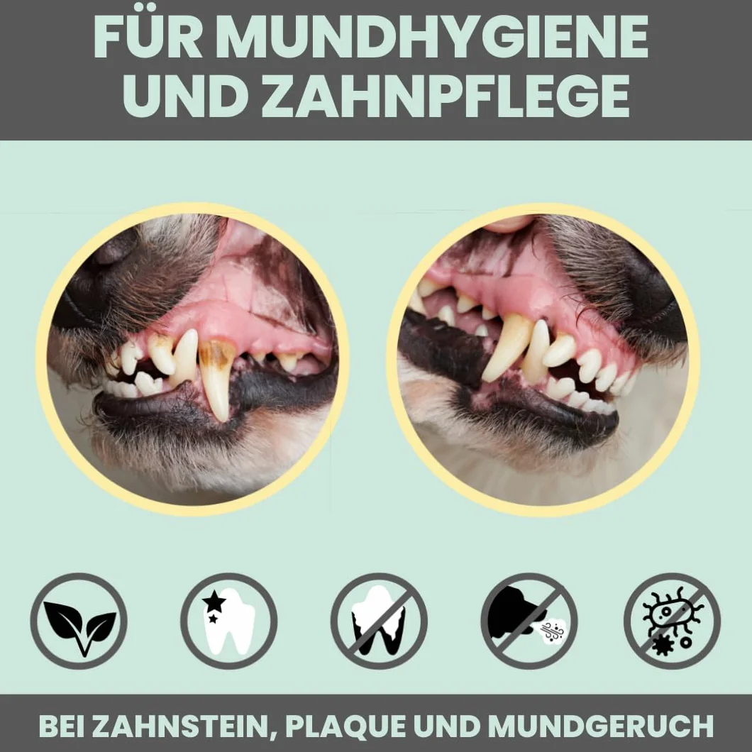 noms+ Spray dentaire pour chiens et chats [réserve annuelle] Spray élimine la plaque dentaire 100 % naturel, contre le tartre, la mauvaise haleine, la plaque dentaire pour le nettoyage des dents et