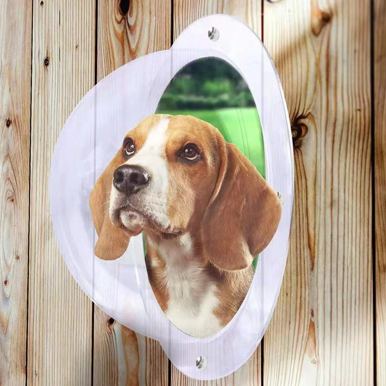 Fenêtre De Clôture Extérieure pour Chien Hublots Visibilité Bulle Judas Animaux