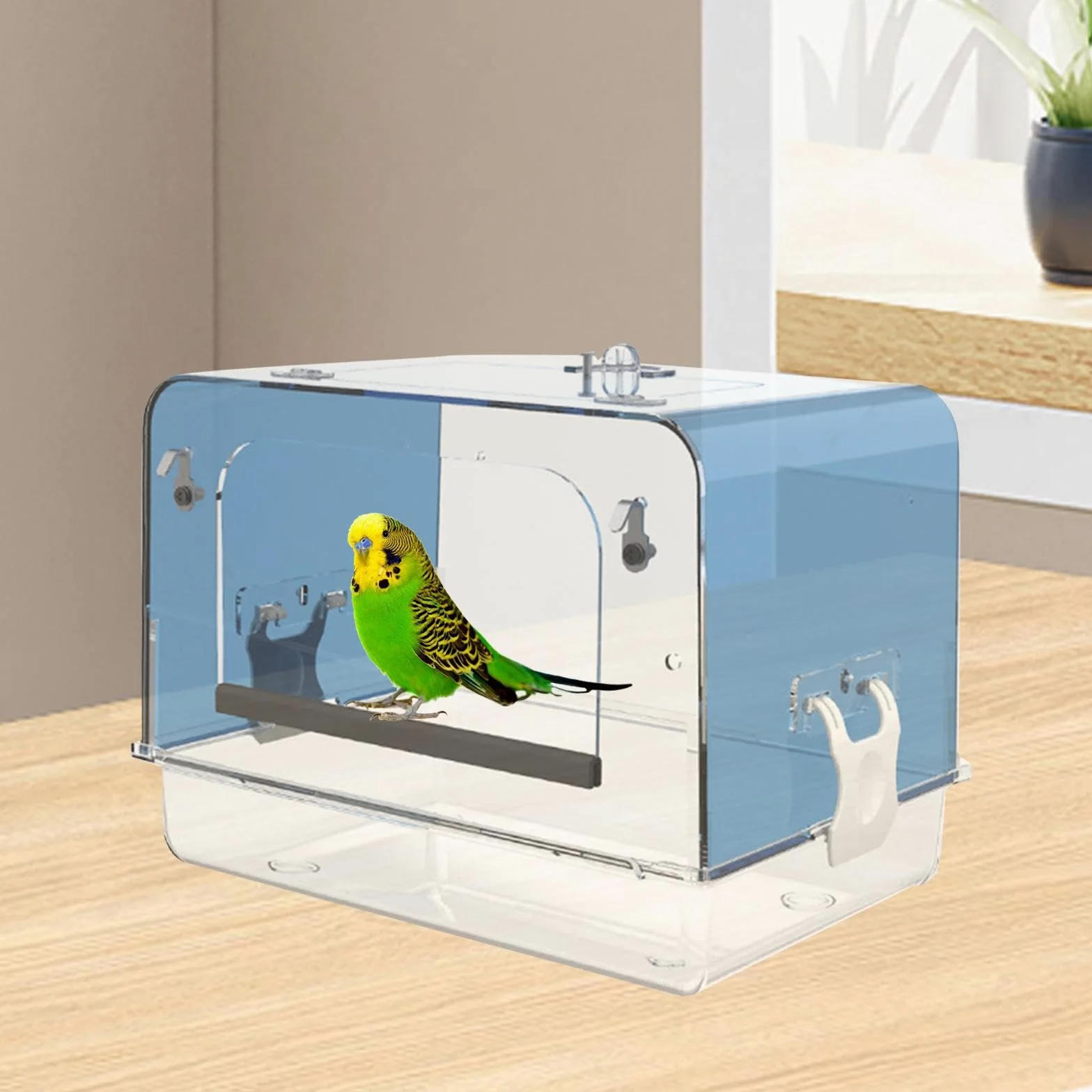 Baignoire Spa pour Oiseaux pour à Plumes, Bleu