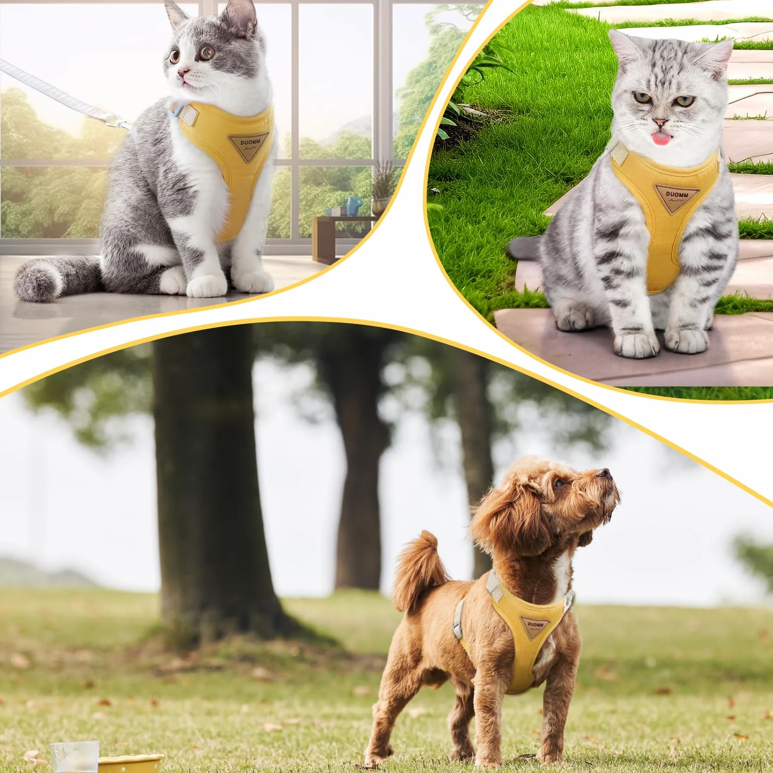 Harnais Chat Anti-évasion Respirant Réglable Gilet avec Collier et Laisse en Maille pour Animaux Jaune