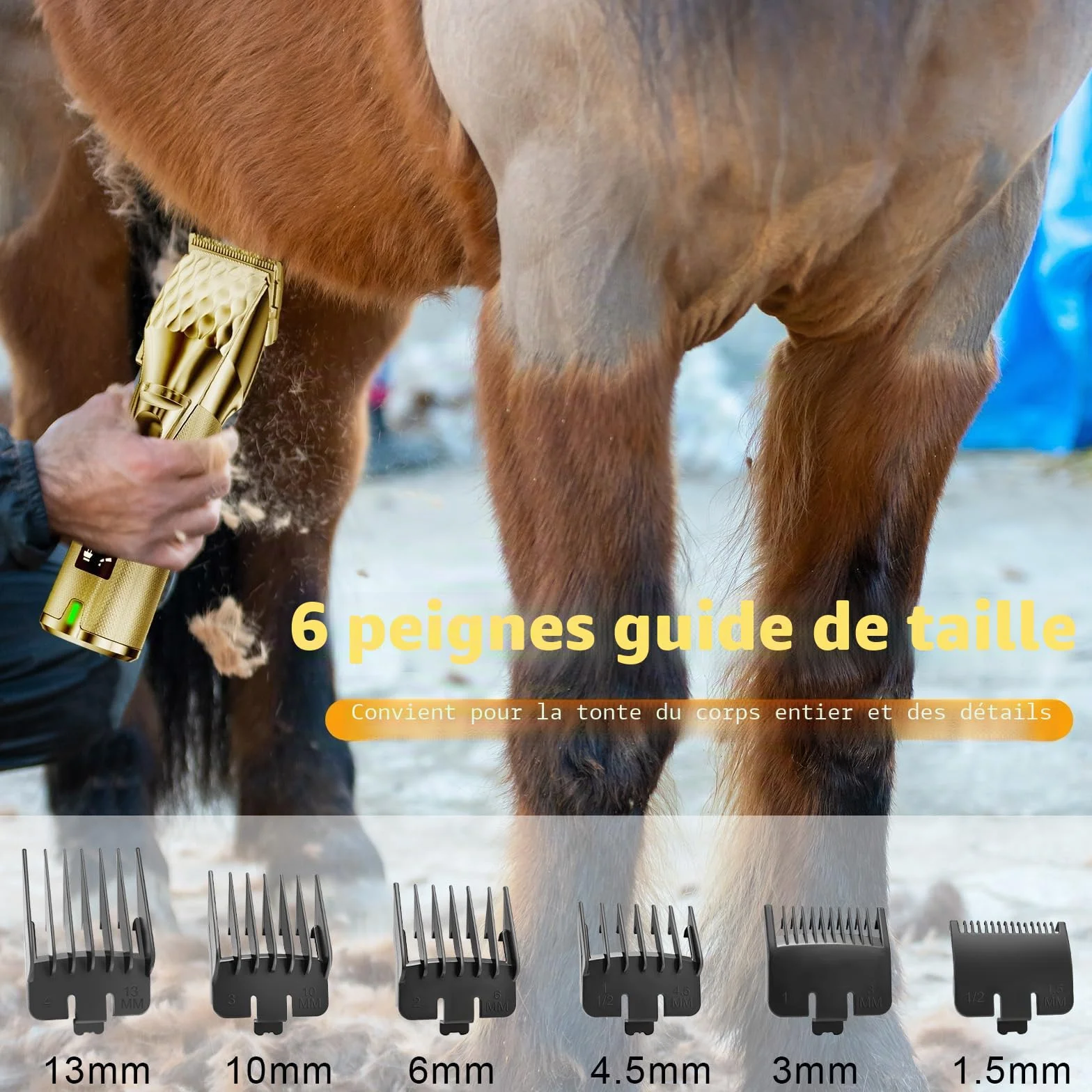 Tondeuse Sans Fil pour Chevaux Professionnelle, Moteur Puissant 6200RPM, Poids Léger 400g