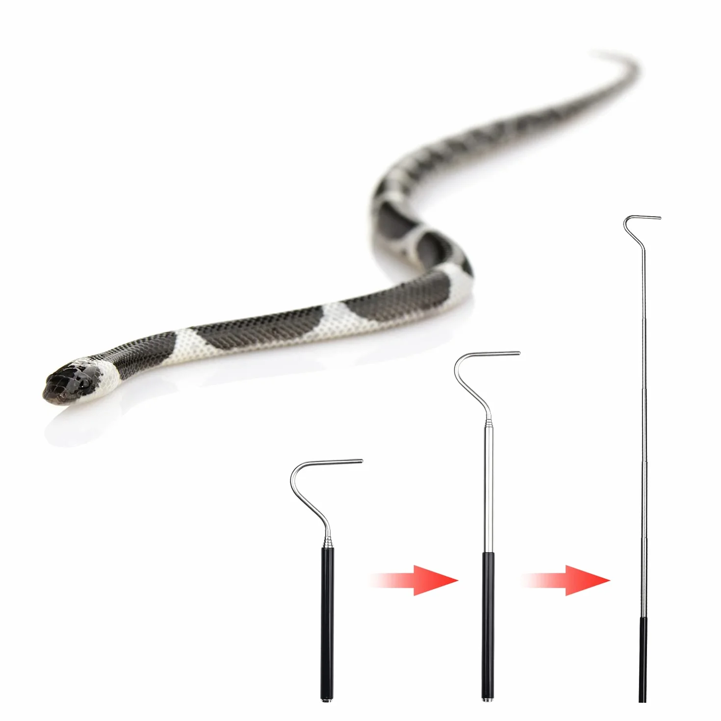 Lot de 2 crochets rétractables en acier inoxydable pour attraper les serpents