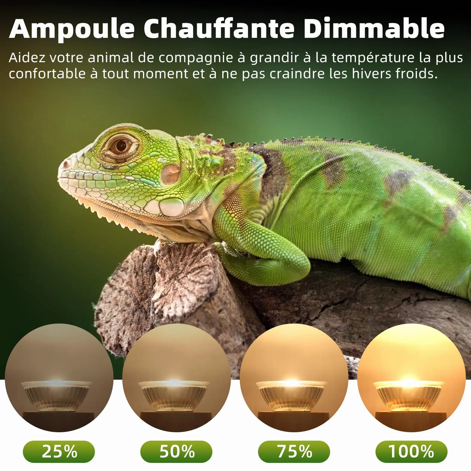 Lampe Chauffante UVA UVB pour Tortue E27 75W Dimmable AC 220V 2700K Lot de 4