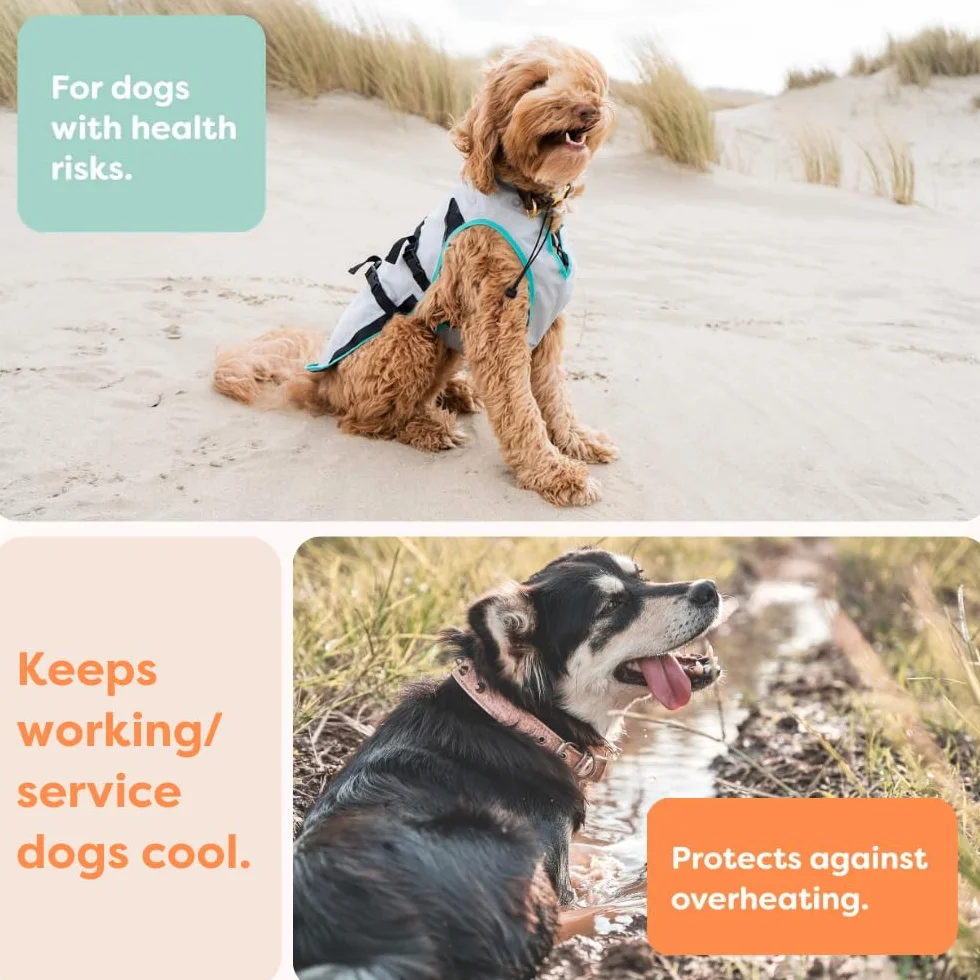Suitical Dry Cooling Vest Chien XS Argent