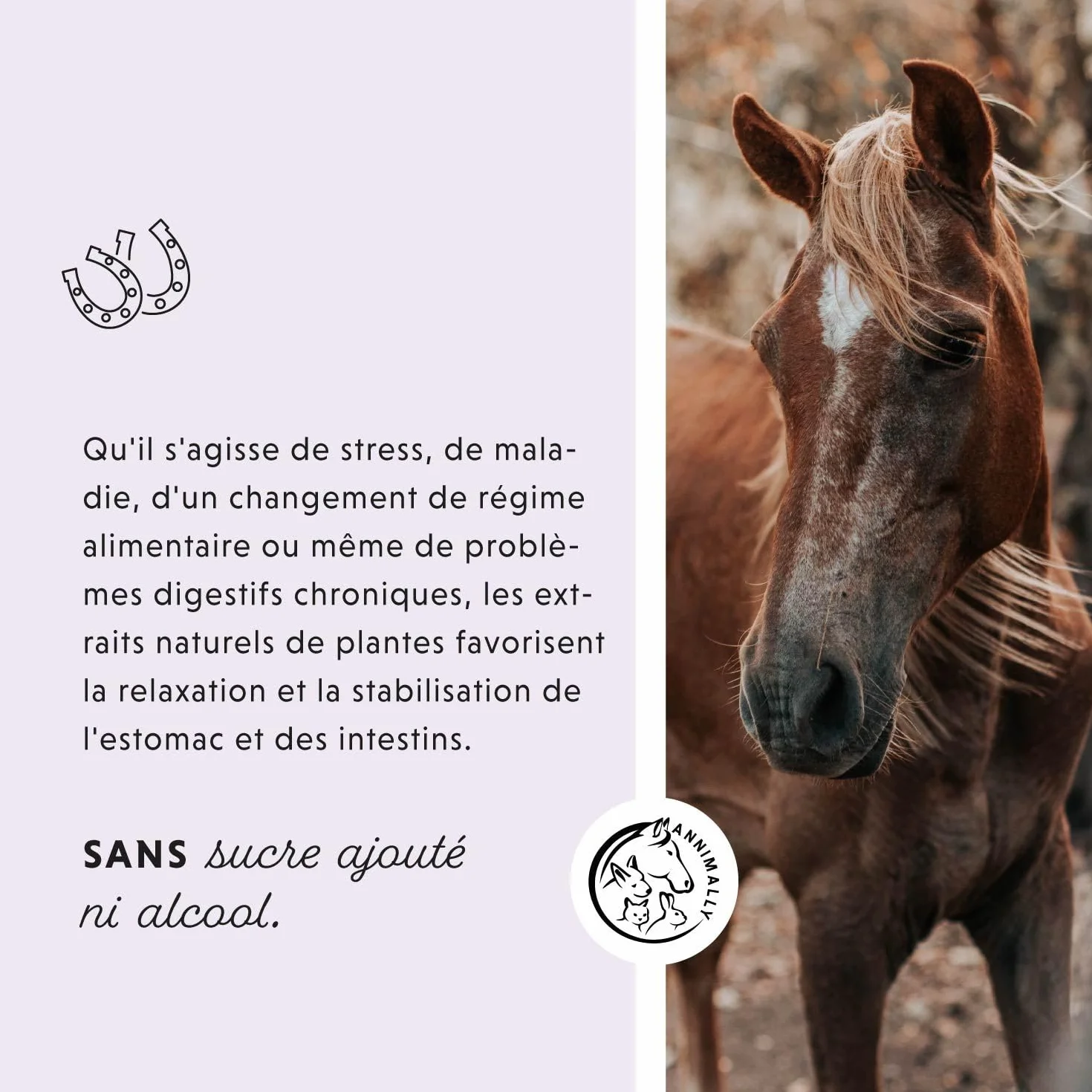 Annimally Liquide Gastro-Intestinal pour Chevaux 1000 ML - Soutien Digestion Diarrhée Herbes Naturelles