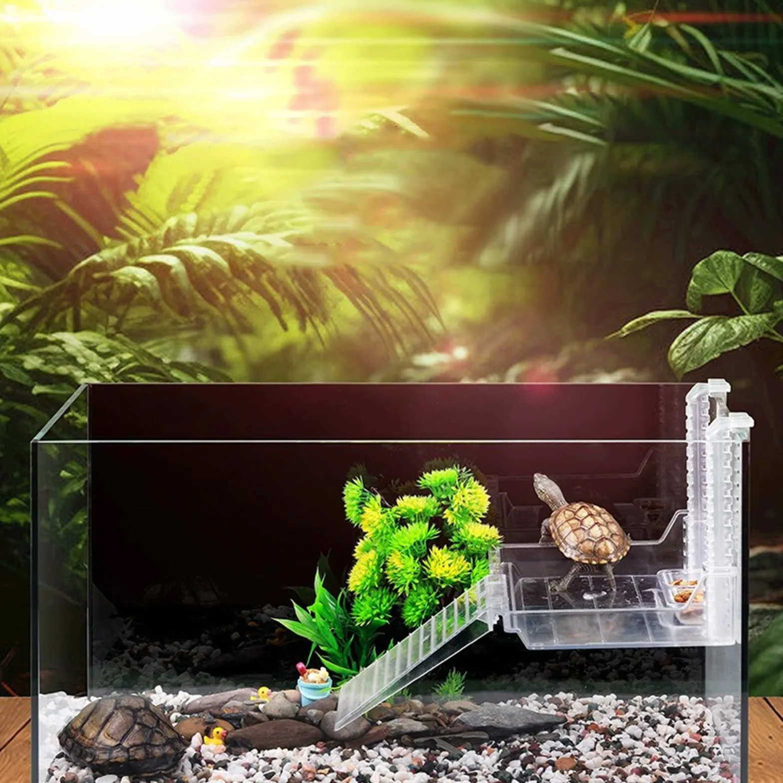 Plate Forme De Repos Suspendue pour Tortues Petits Reptiles