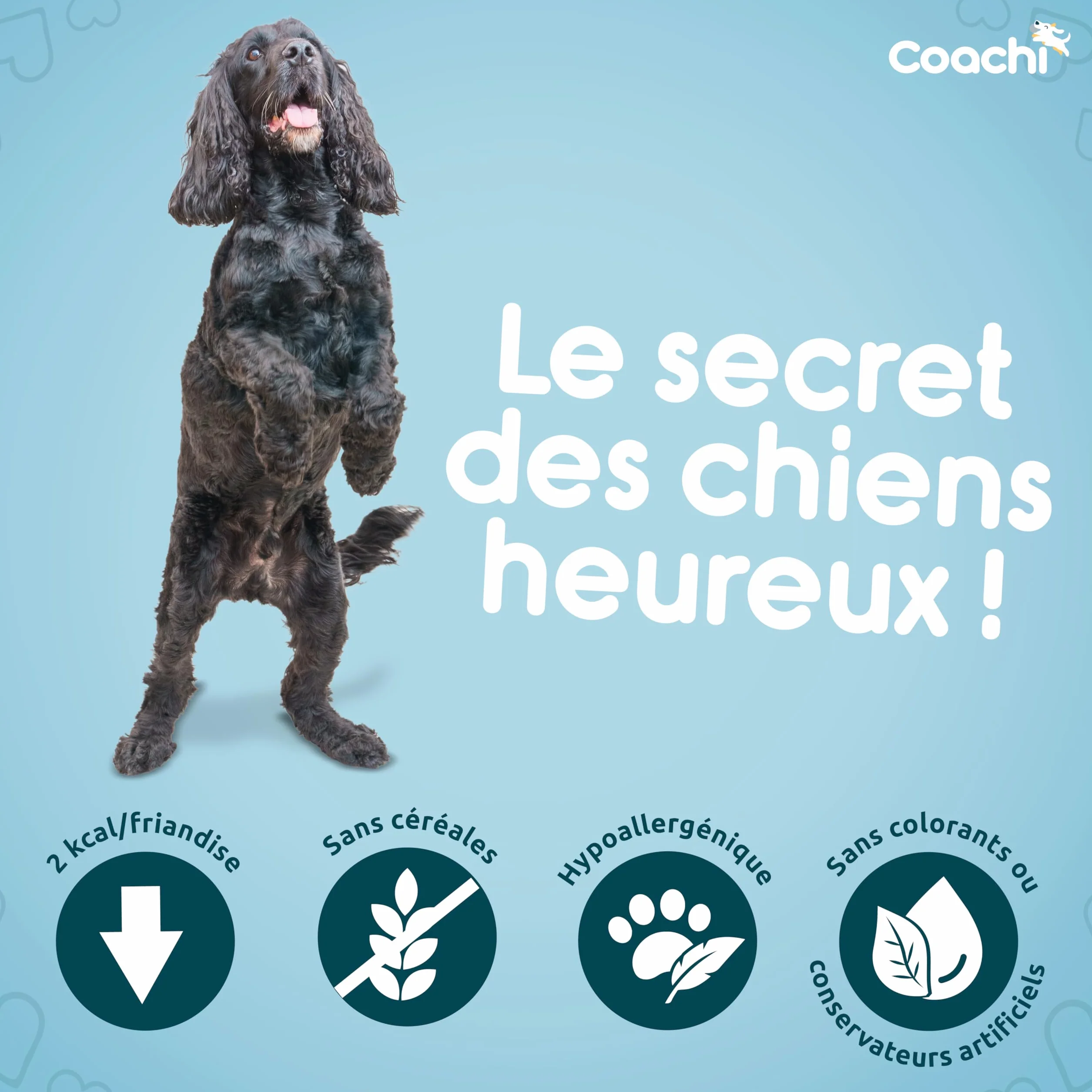 Coachi Friandises Naturelles pour Chiots sans Céréales Hypoallergéniques Moelleuses Poulet 100g