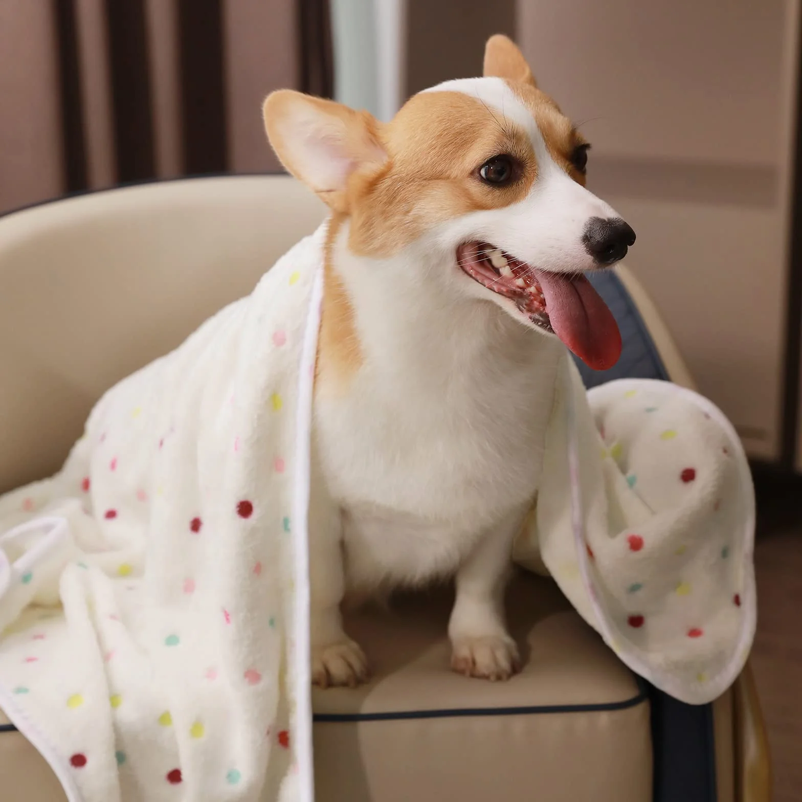 Luciphia Couverture en Peluche Ultra-Souple pour Chien Chat 3 Pièces Point Clair Small 60x40cm