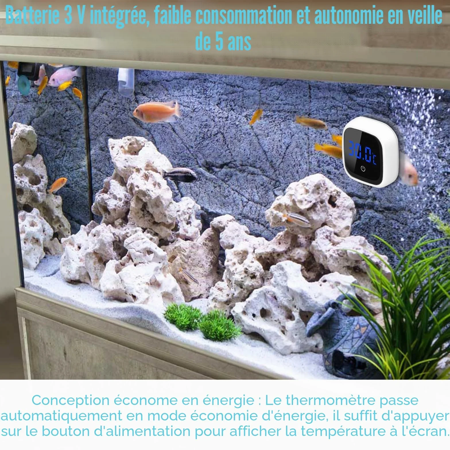 Thermomètre d'aquarium numérique LED haute précision eau douce et eau de mer